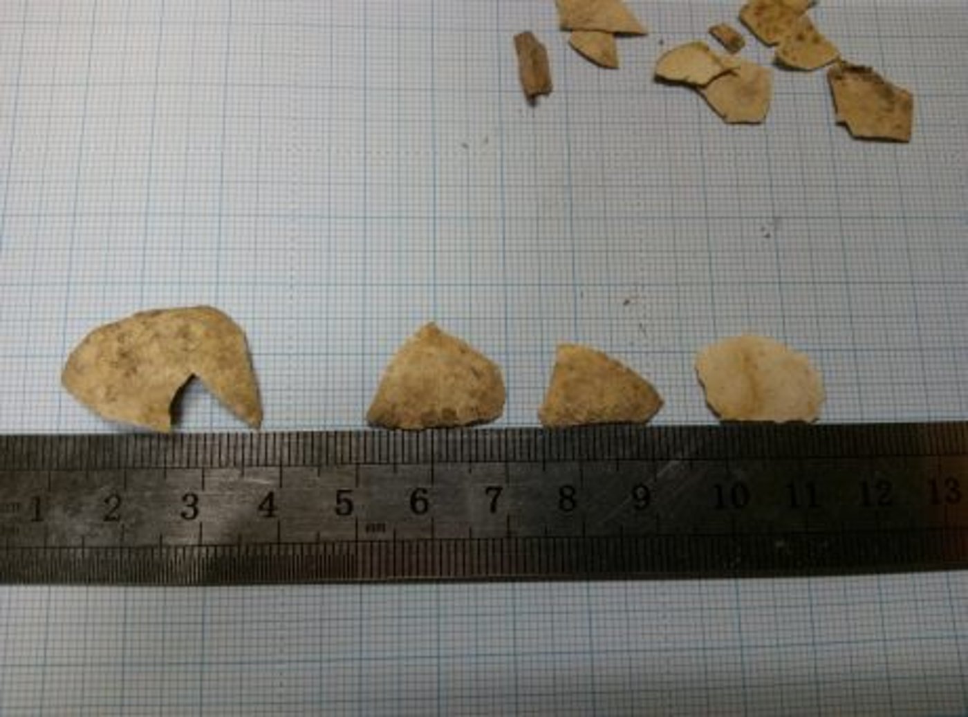 נחשף: הביצה בזמן המקדש לא היתה כשיעור החזון אי"ש