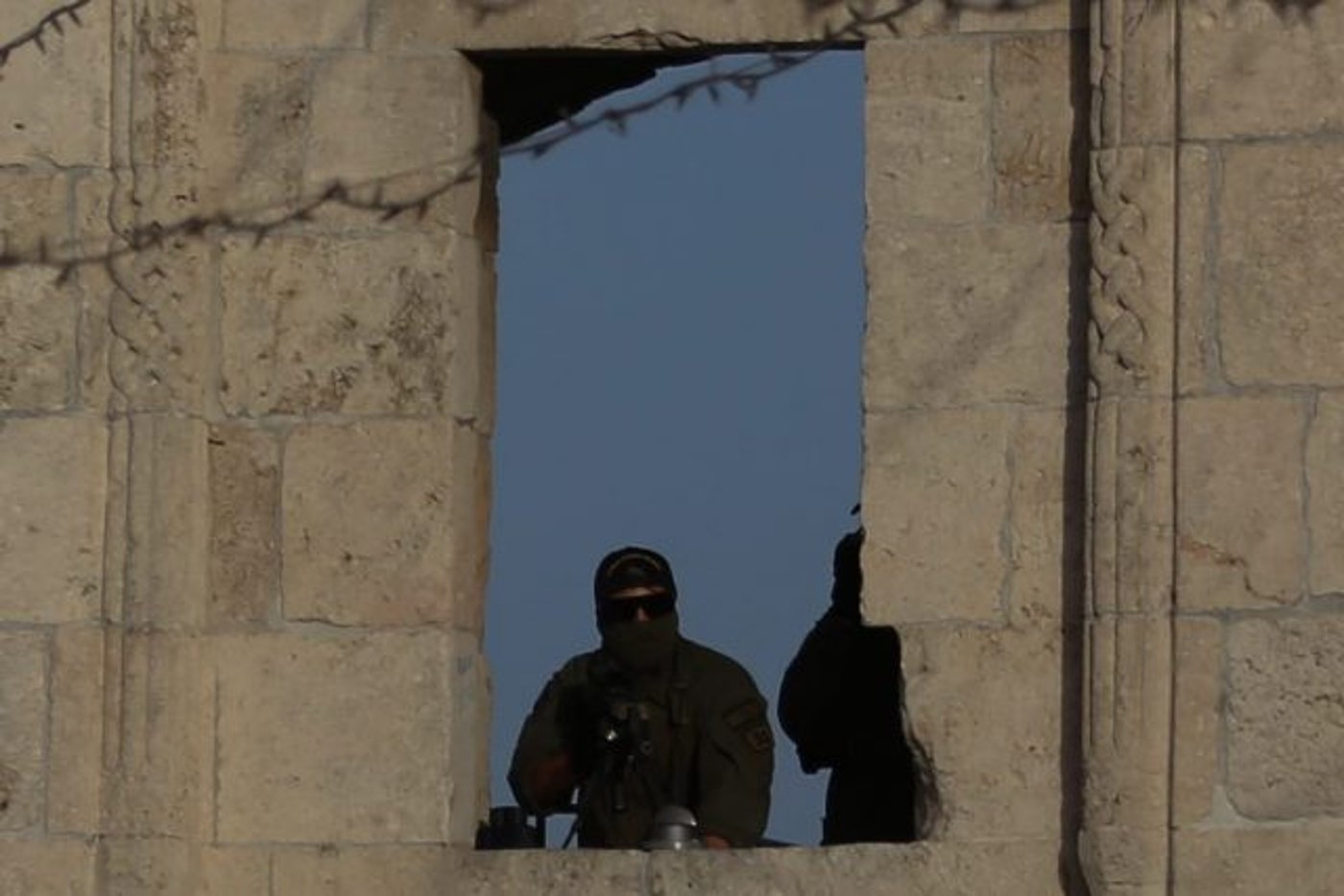 גלריית ענק: רבבות חגגו בריקוד הדגלים. תיעוד