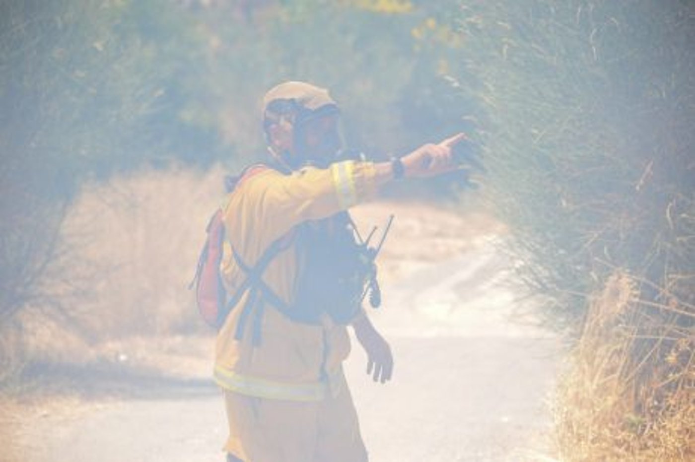 במהלך כיבוי השריפה מפקדת הכבאים נפלה לבור
