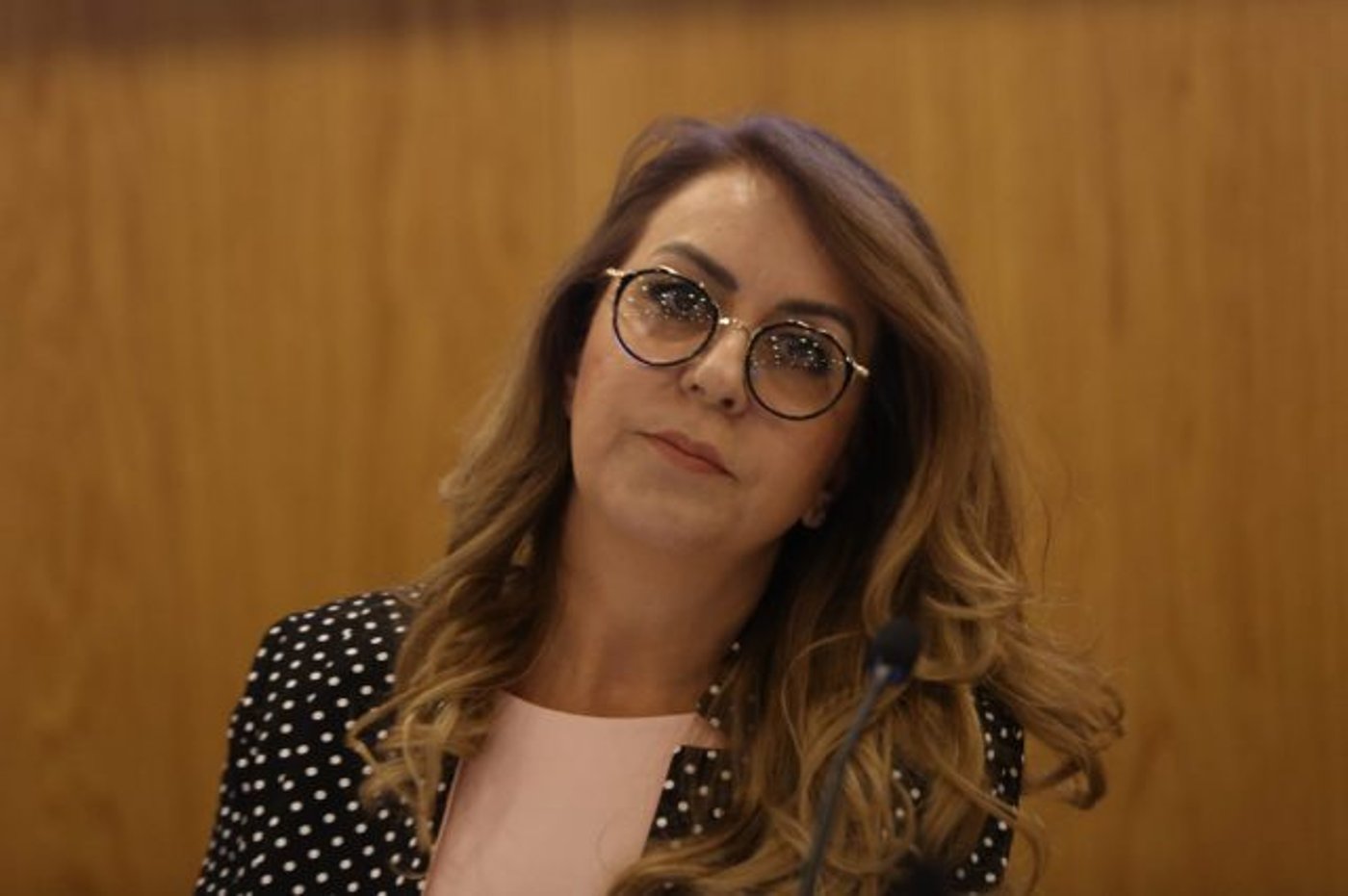אורלי עדס, מנכ"לית ועד הבחירות