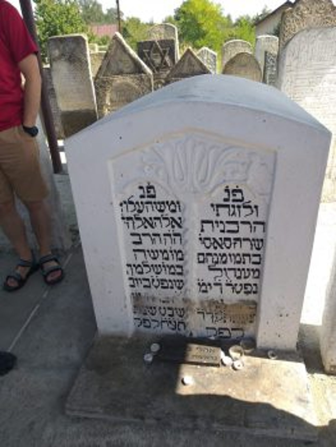 משלחת סטודנטים מהרצוג חשפה קברים עתיקים באוקראינה