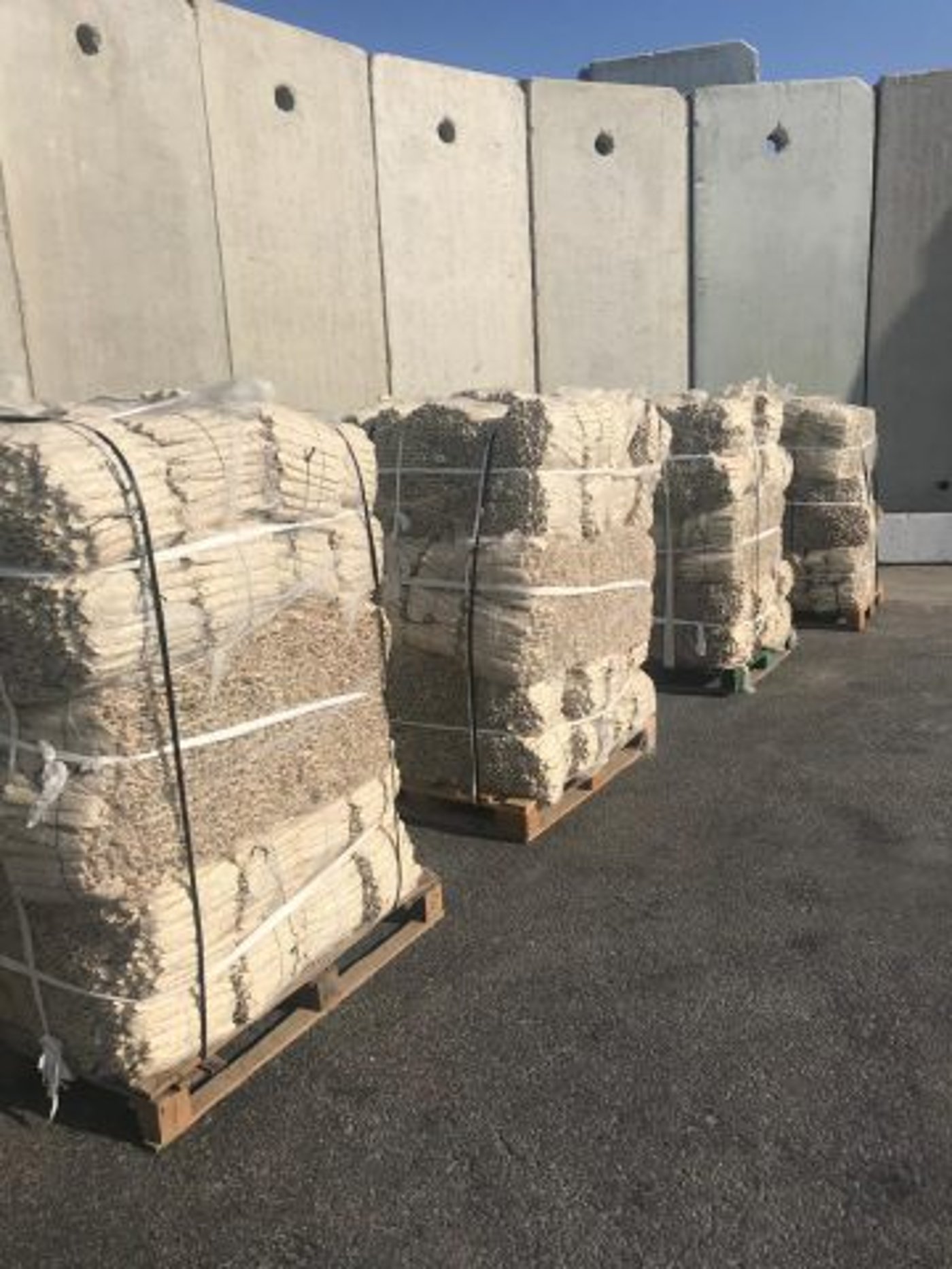 שימו לב: עשרות אלפי קוישקלך יימכרו בישראל