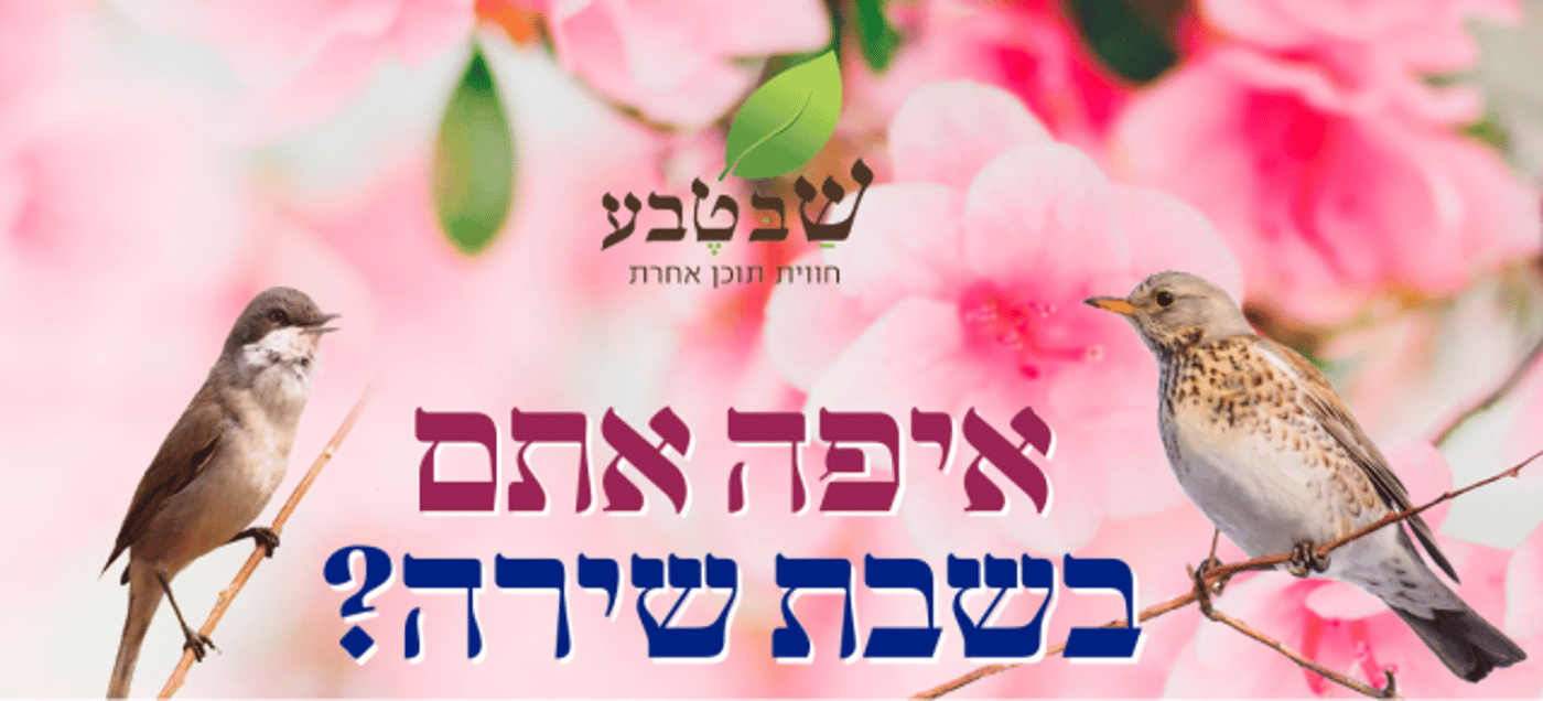 הזדמנות אחרונה להירשם | שבת שירה לנופי הכנרת