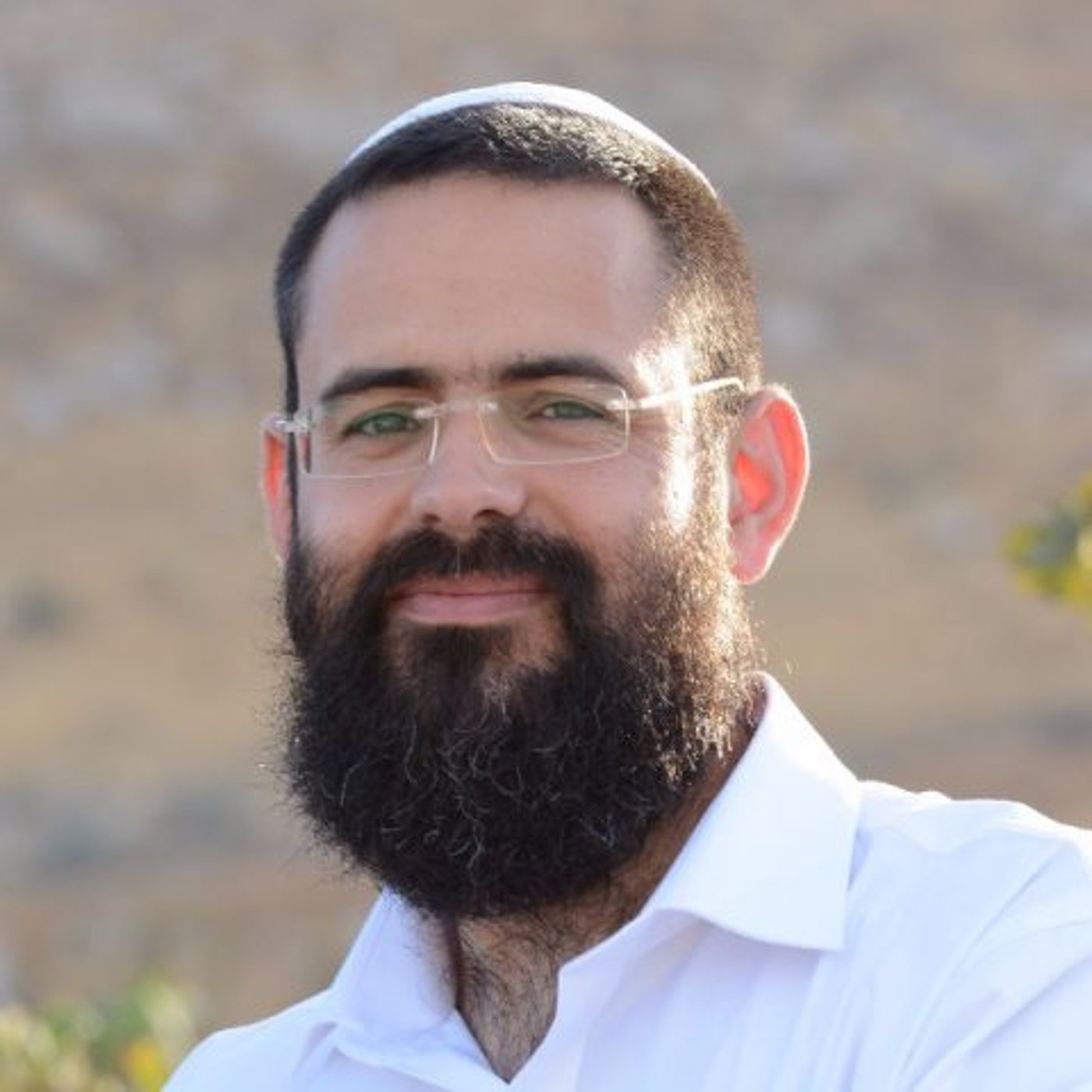 " אם נלחץ נסכן חיי אדם", גוטמן (קרדיט: באדיבות המצולם)