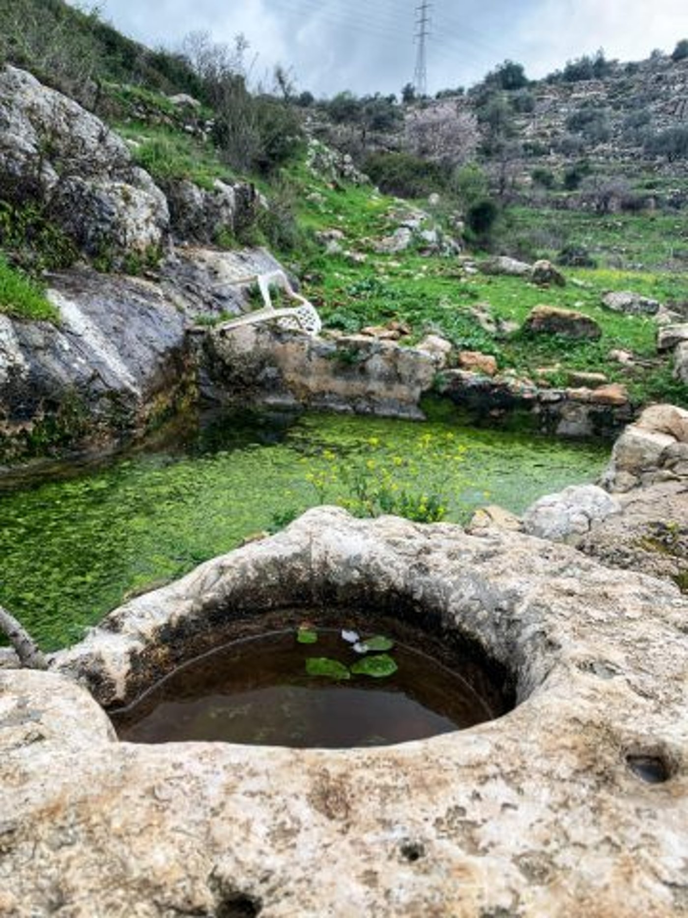 שירצור באקסטרים: לדהור להרים עם טרקטורון שטח