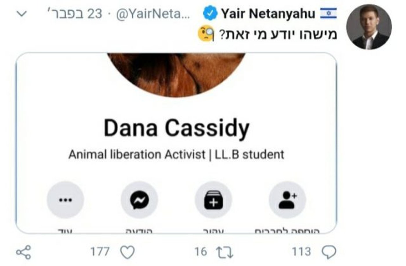 צילום מסך
