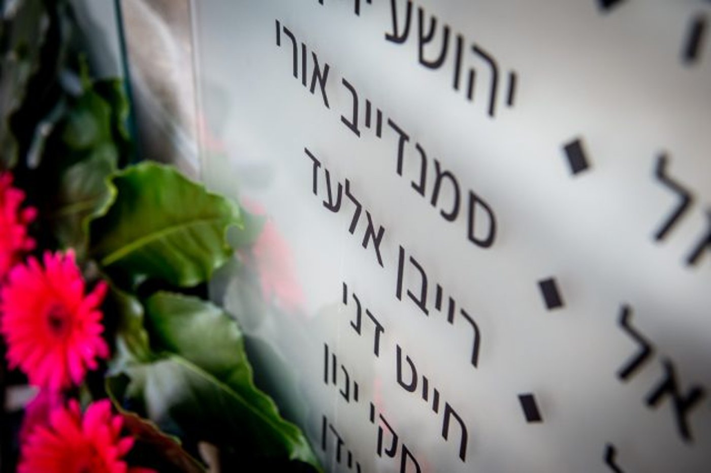 קרדיט: תיעוד מבצעי כב"ה