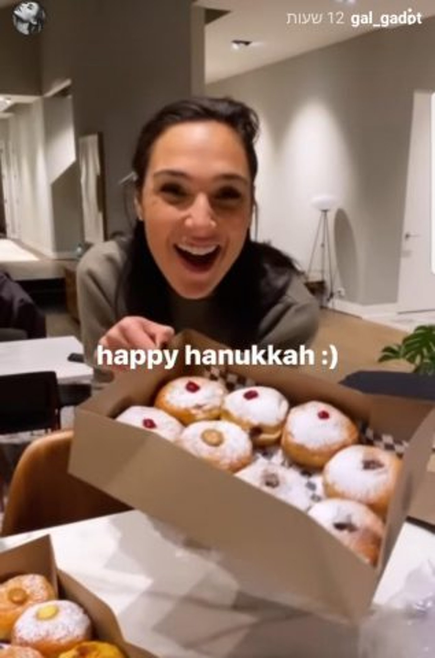 צילום מסך מתוך אינסטגרם/ גל גדות
