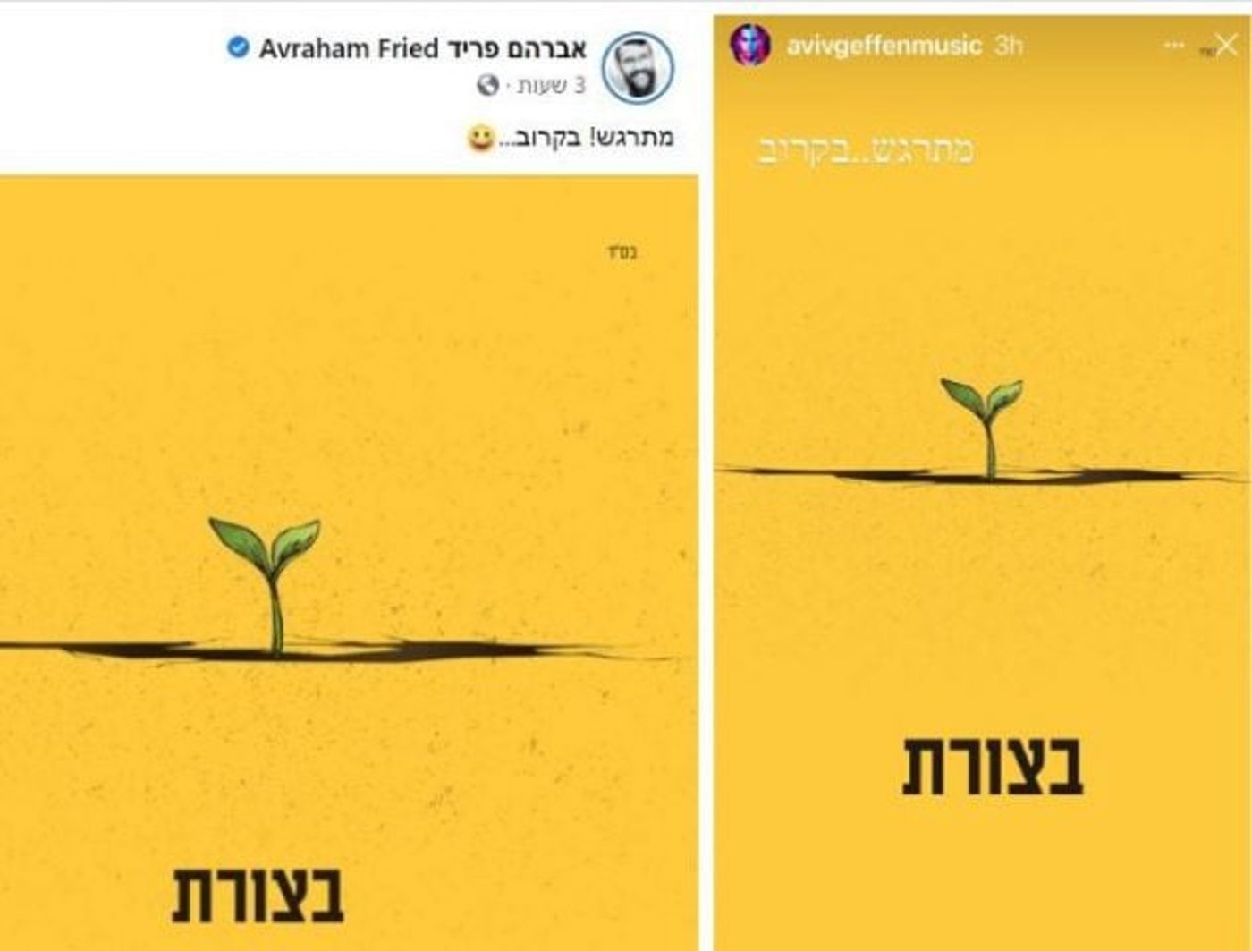 גפן ופריד חושפים (צילום מסך)