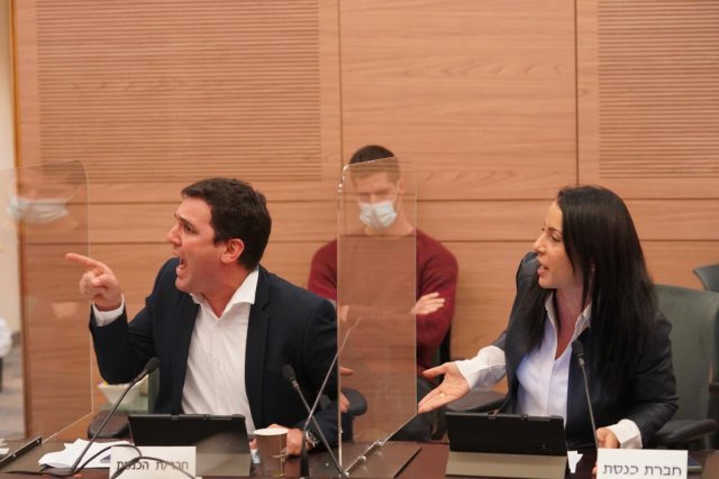 ח"כ איתן גינצבורג