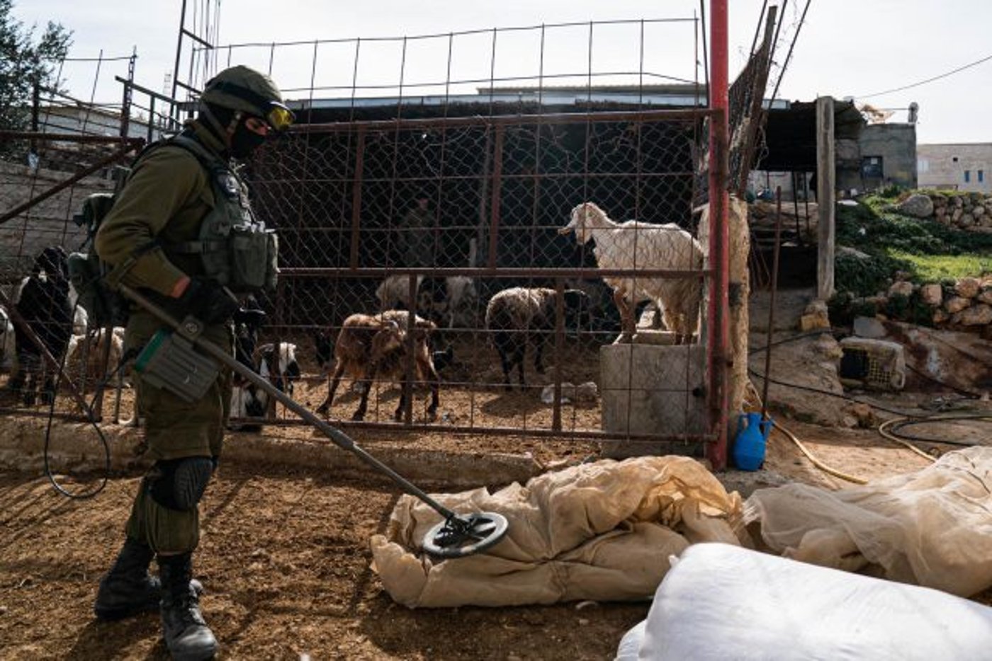 תיעוד: כך תופסים אמל"ח וכסף טרור בהר חברון