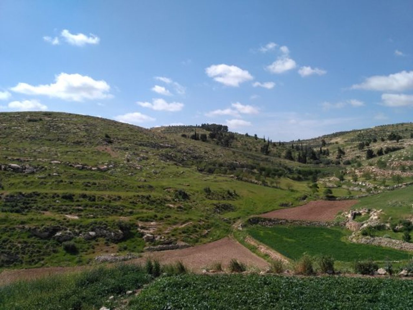 צאו לטייל: פסטיבל טיולי פסח ישראלי עם "אשכולות"