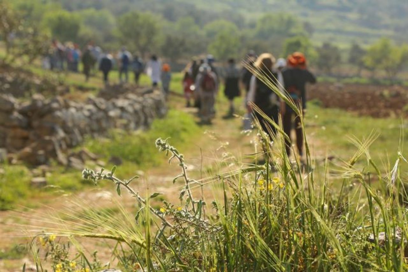 רגע לפני החג: אלמונים השחיתו את מזבח יהושע