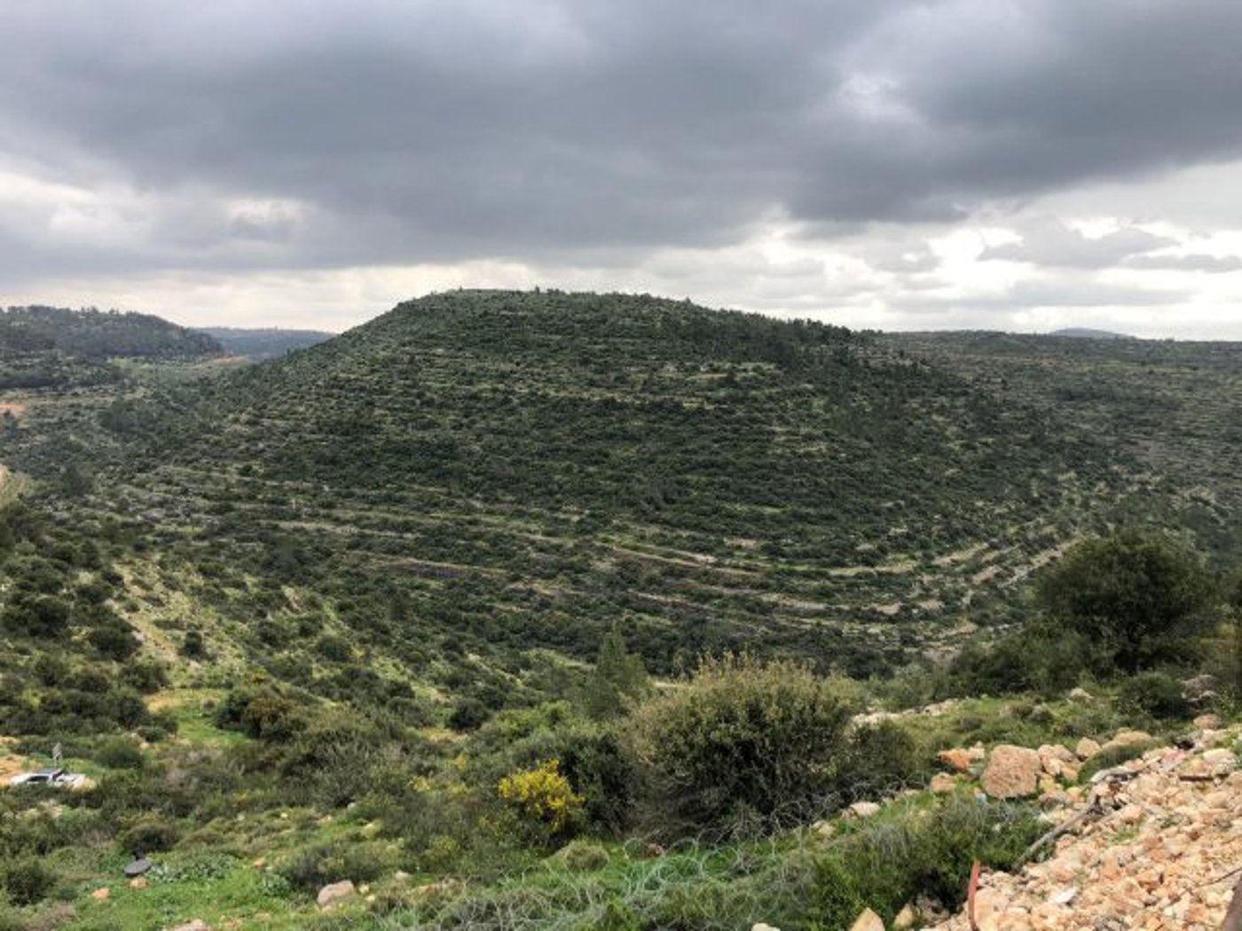 שביל הציפורים