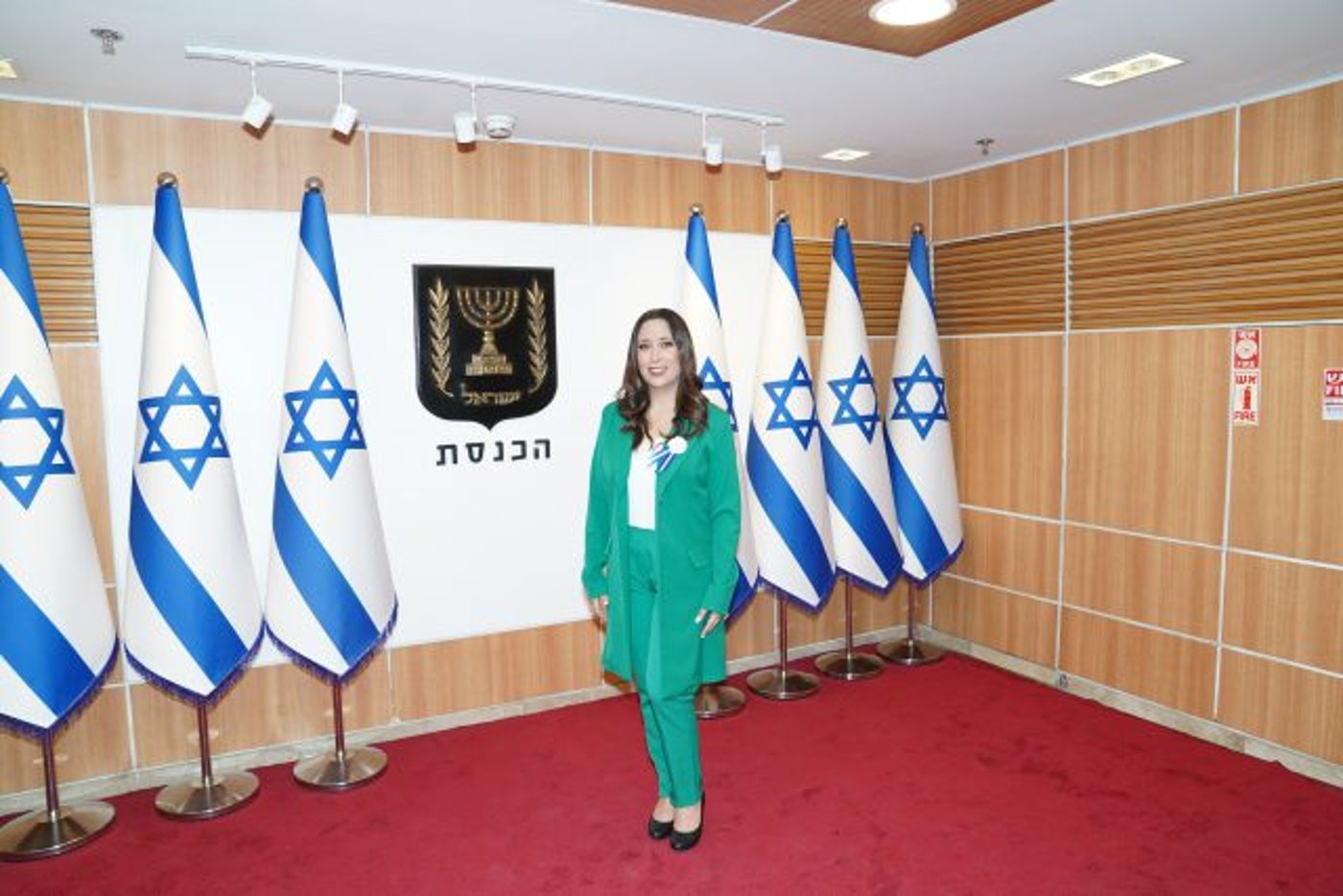 מכניסה צבע לכנסתח"כ מאי גולן, הליכוד