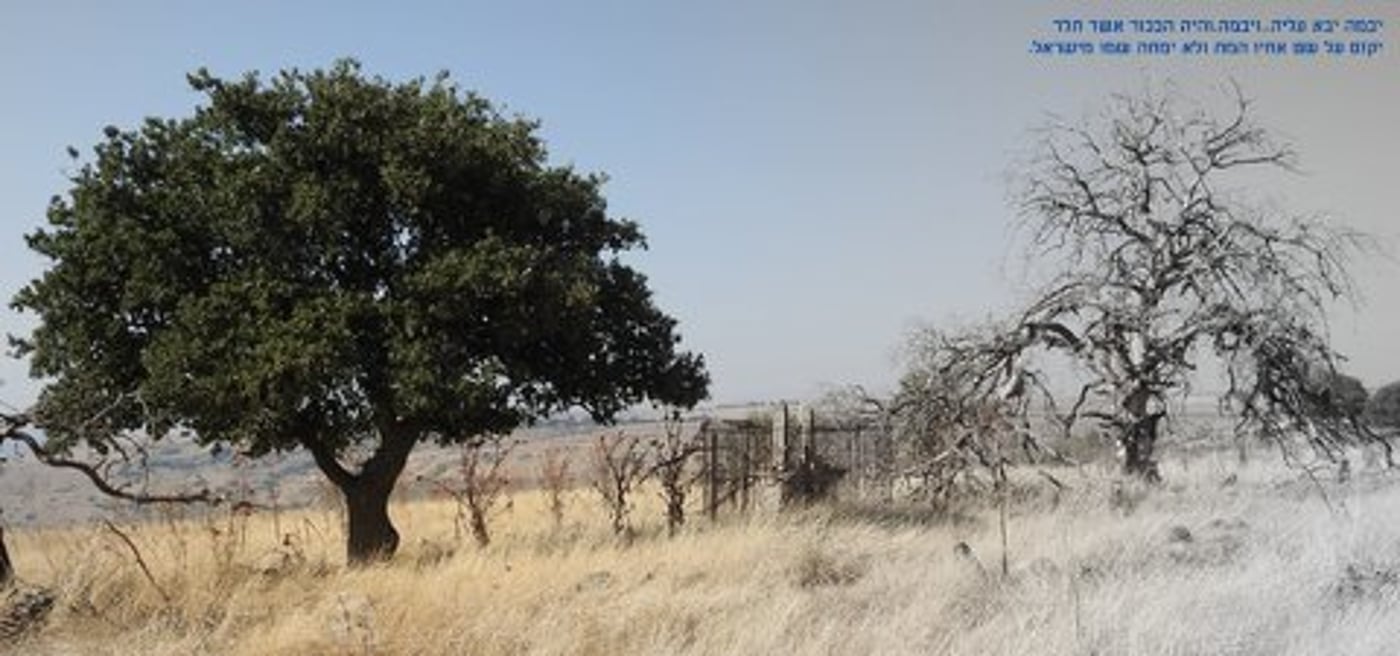 אחרון בסבב: ספר 'דברים' בתמונות מעוררות השראה