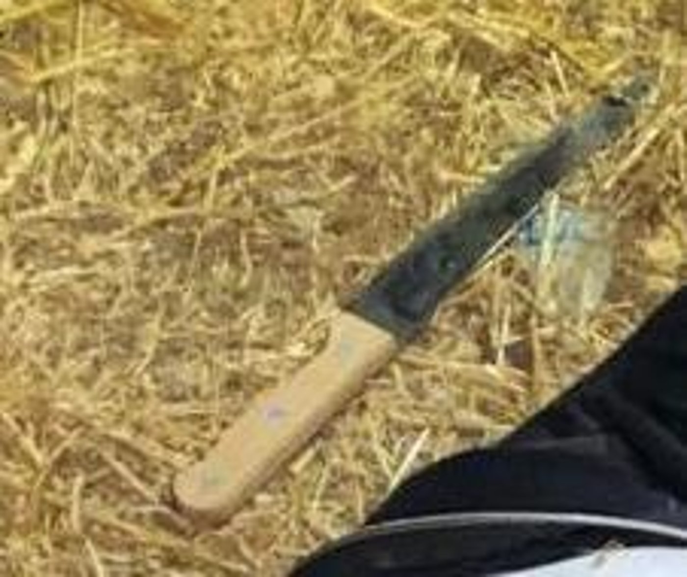 הסכין של המחבלת (קרדיט: צה"ל)