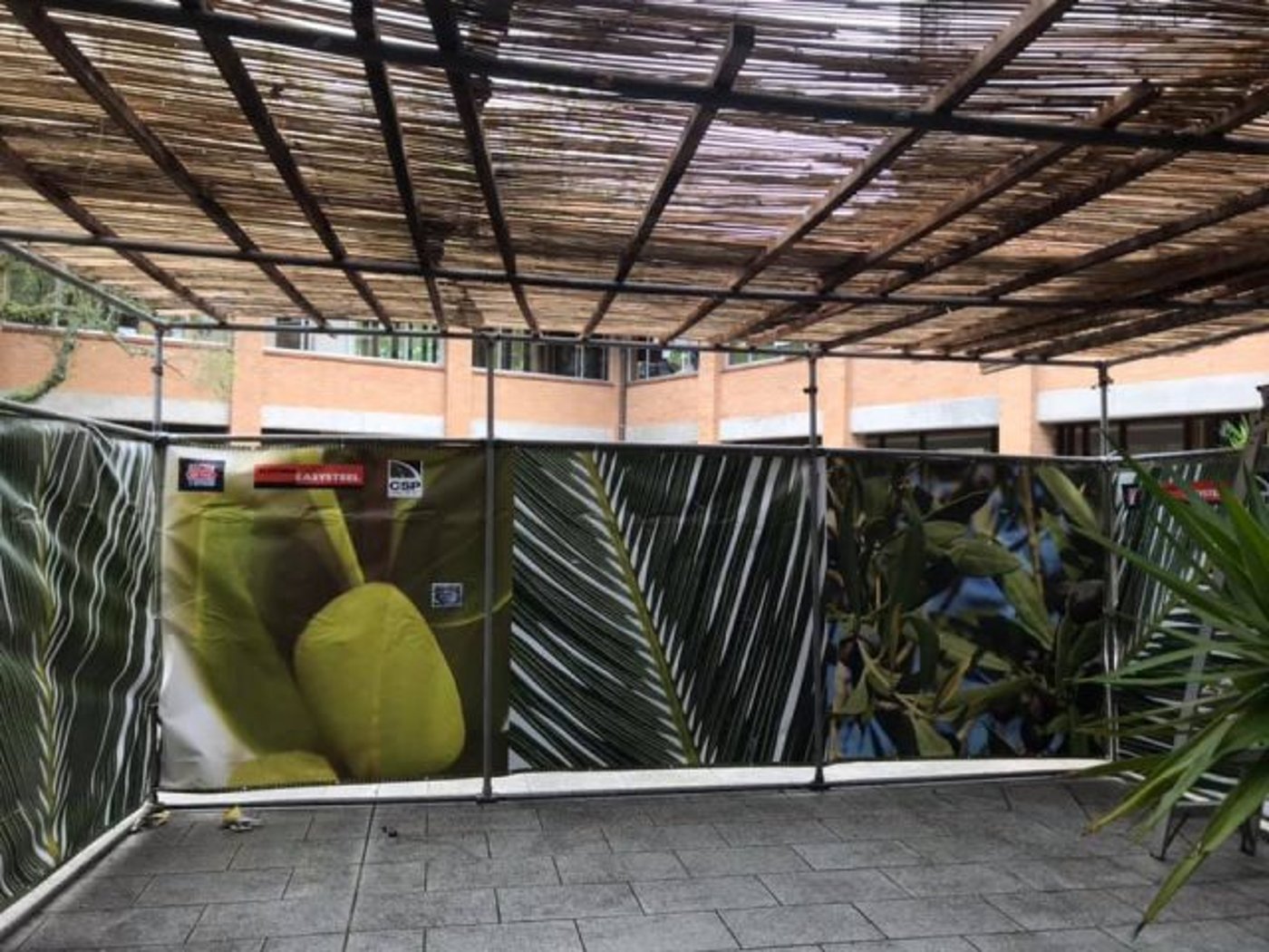 הסוכה שבנו משפחת פוגל במרכז היהודי בשנה שעברה