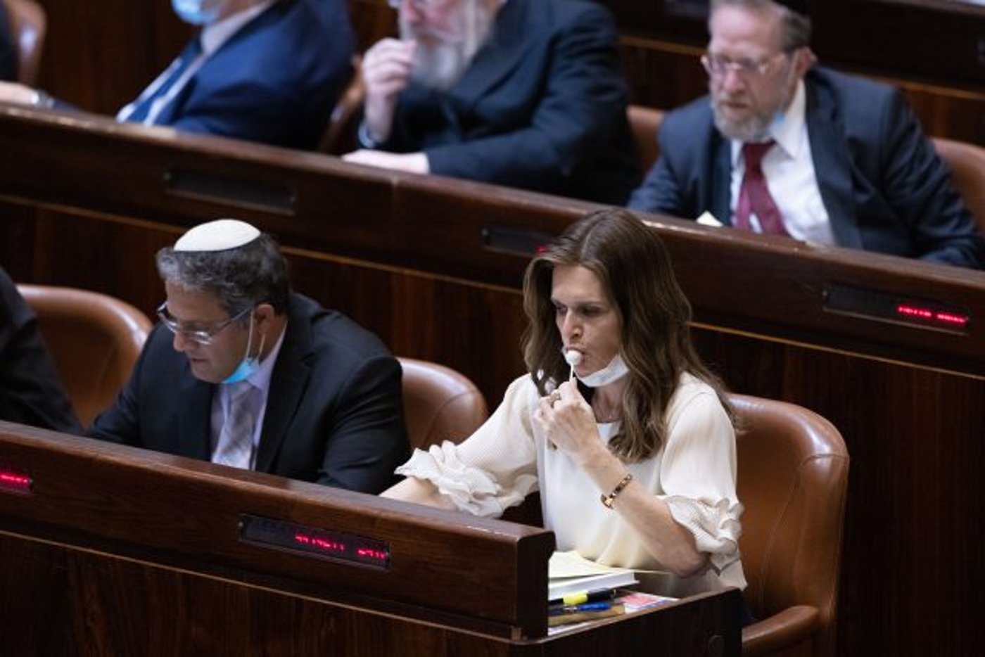 מיכל וולדיגר
