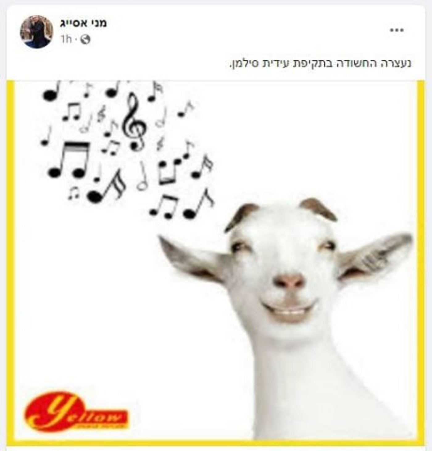 מני אסייג מכניס תוכן שיווקי של חברת תדלוק