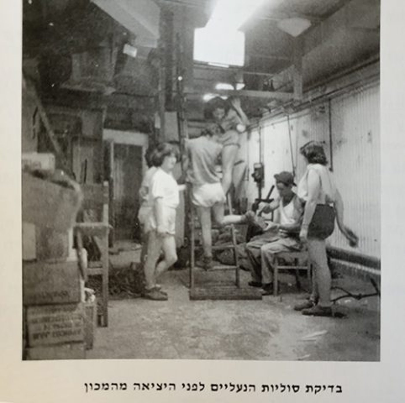 מתוך החוברת "מכון איילון – גבעת הקיבוצים רחובות," בהוצאת החברה להגנת הטבע והמועצה לשימור אתרים
