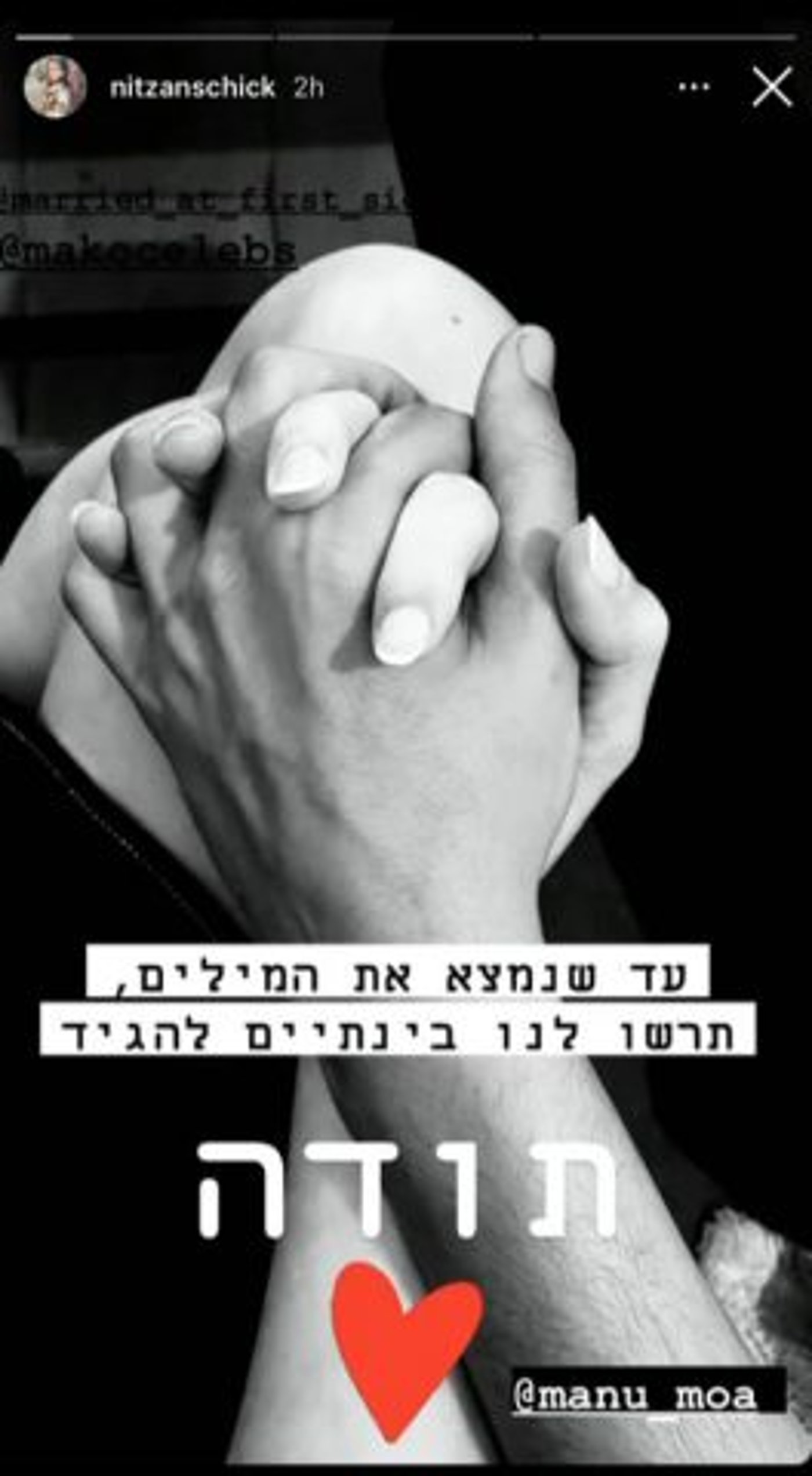 הסטורי שניצן העלתה