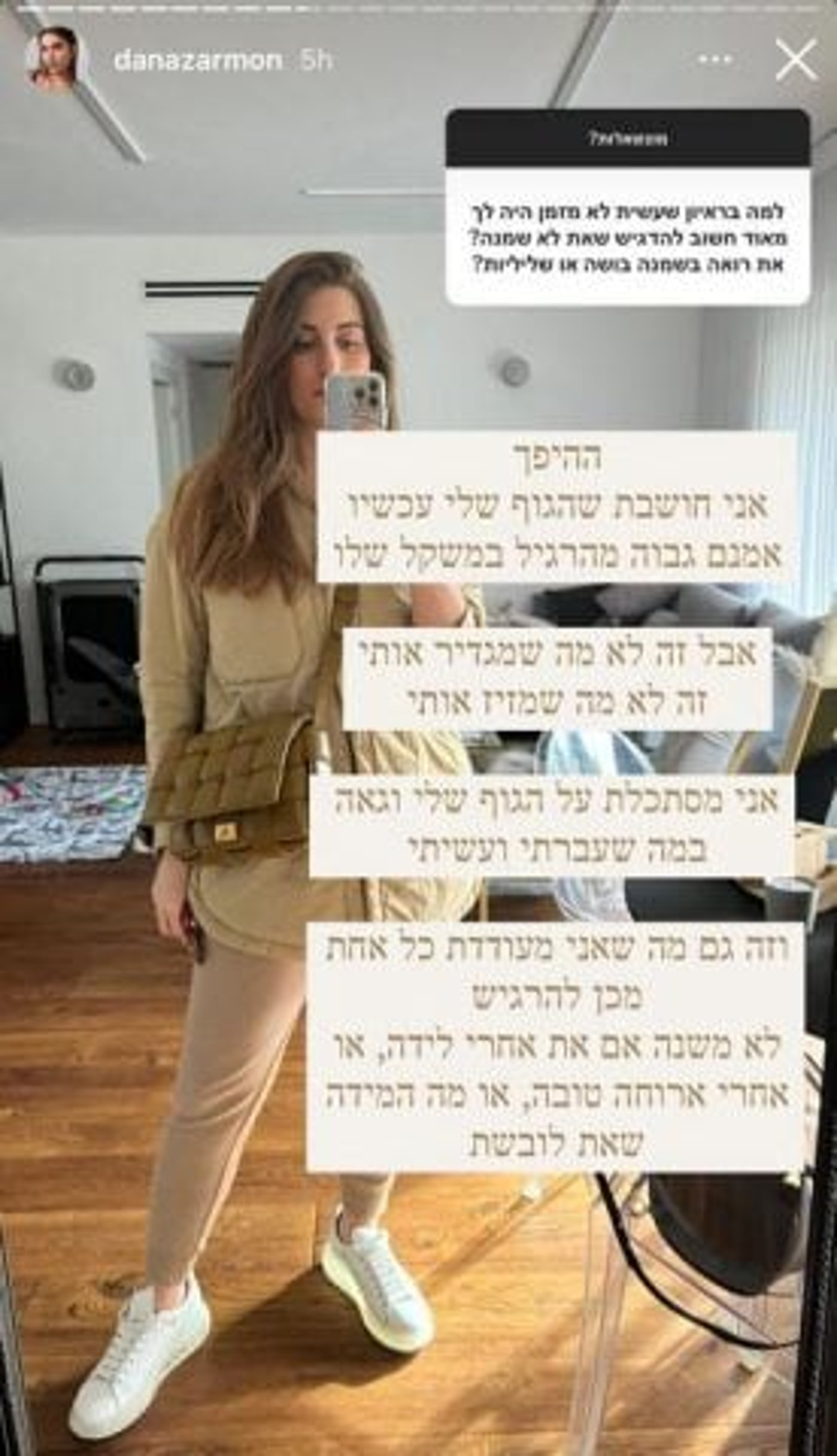 הסטורי של דנה זרמון