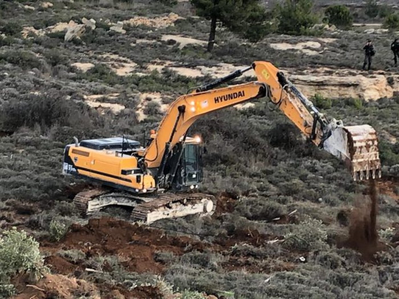 הבוקר: פינוי אלים בעוז ציון ועקירת כרמים בעמונה