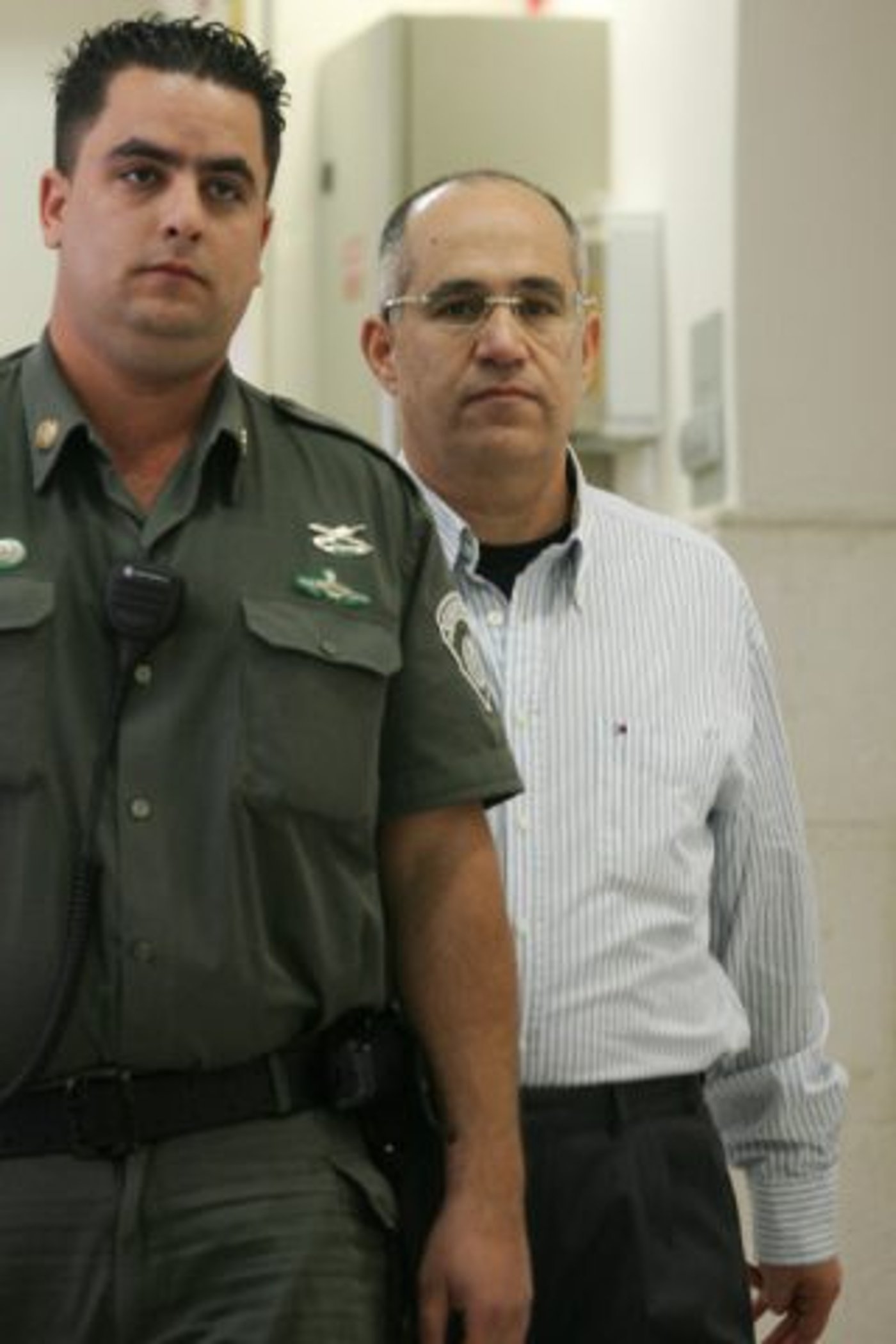 יונה, 2008