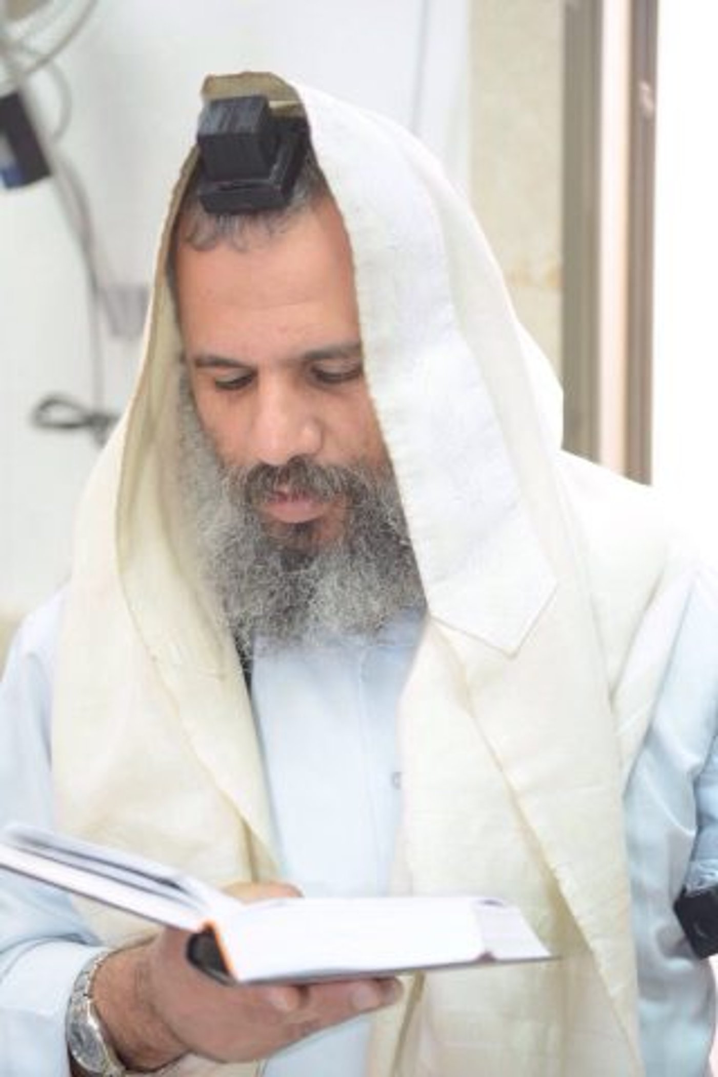 הרב דרור טוויל