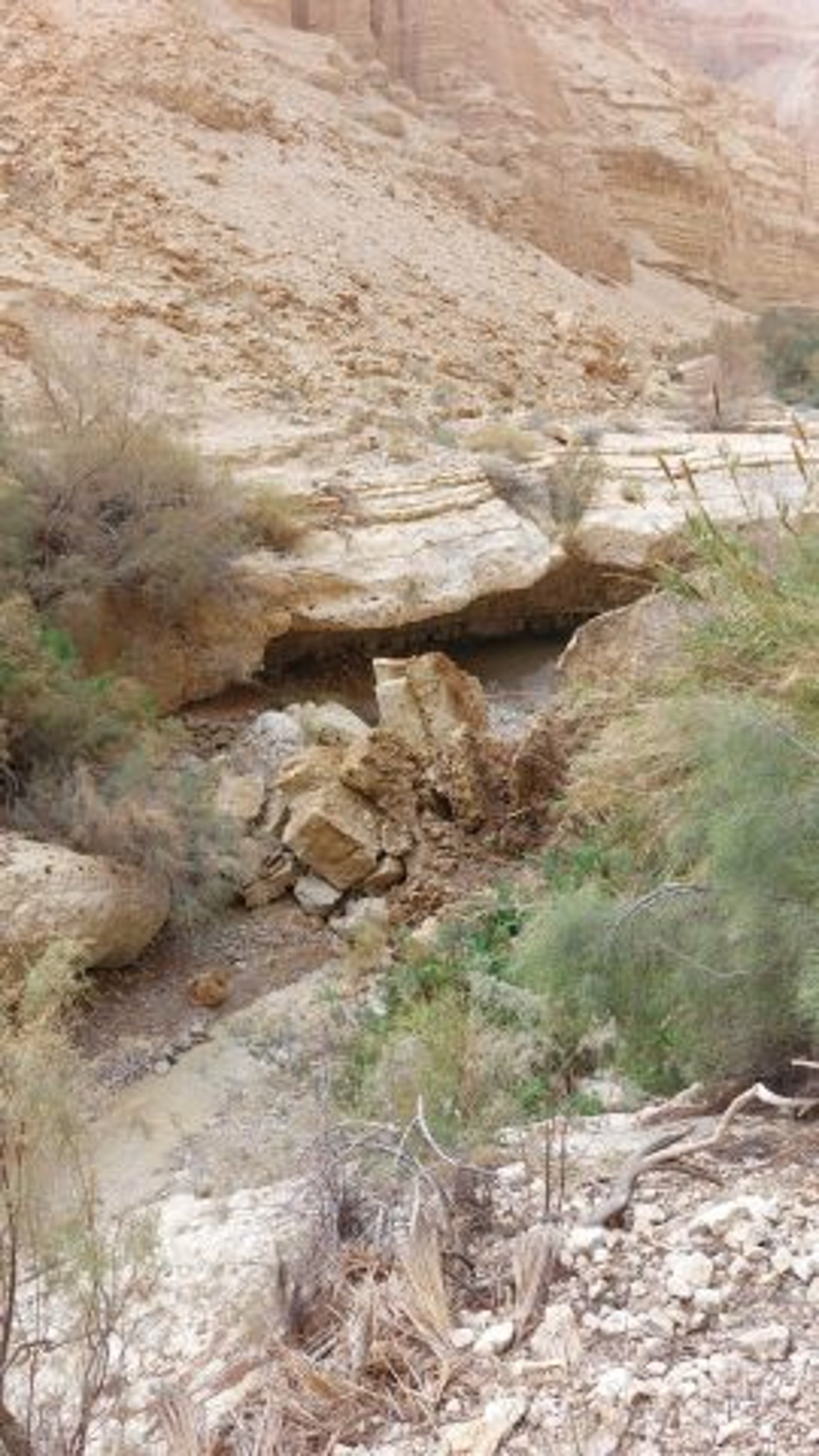 נס בנחל ערוגות: סלע ענק נפל על קבוצת מטיילים