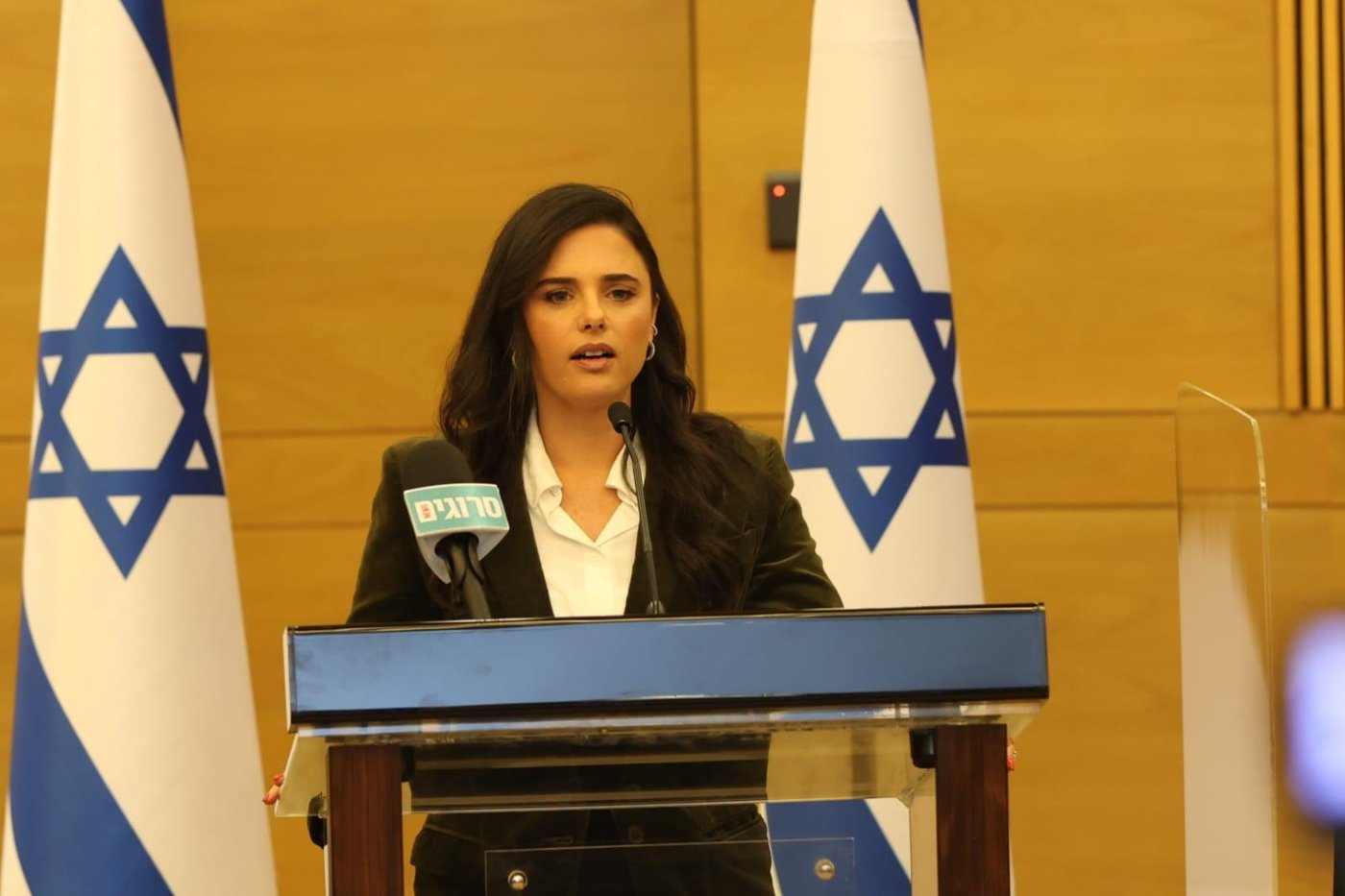 סערה בממשלה | זנדברג לסער: "אתה מלבה שנאה"