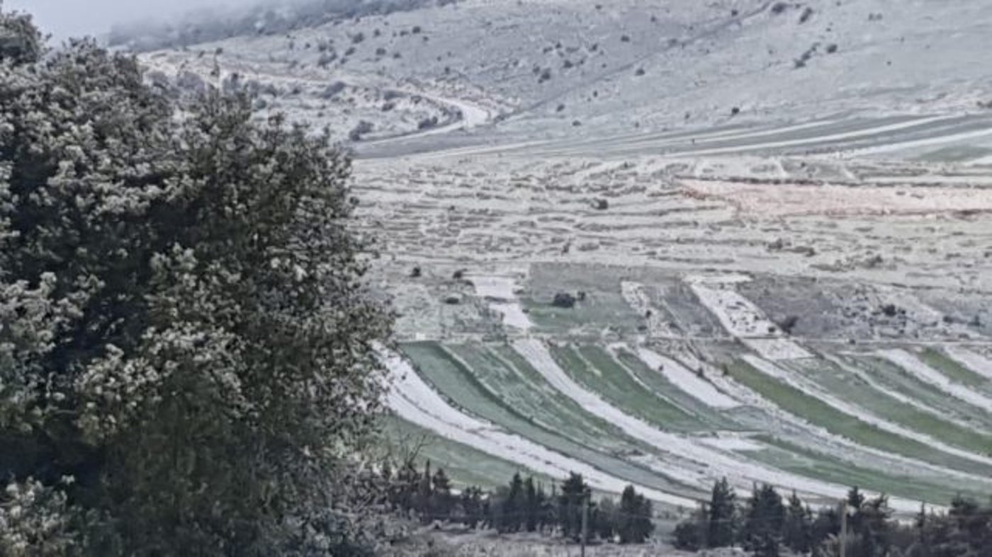 שלג בקיבוץ מלכיה שבגליל.