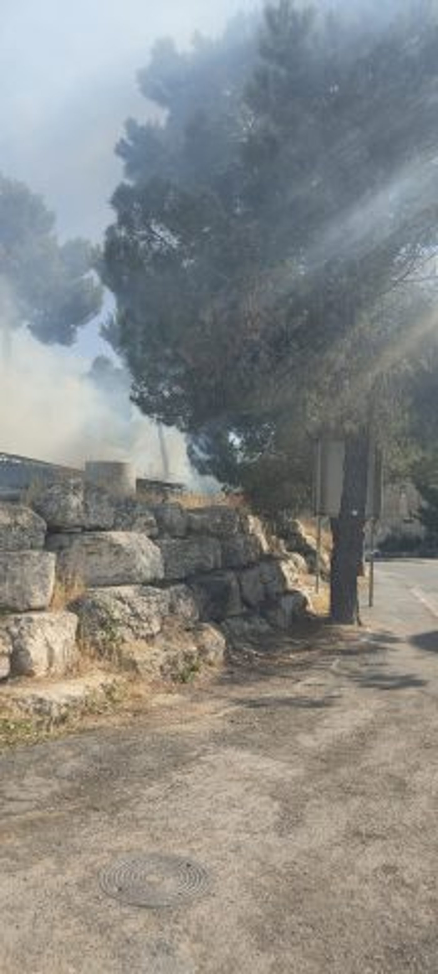 שריפה באזור גבעת התחמושת