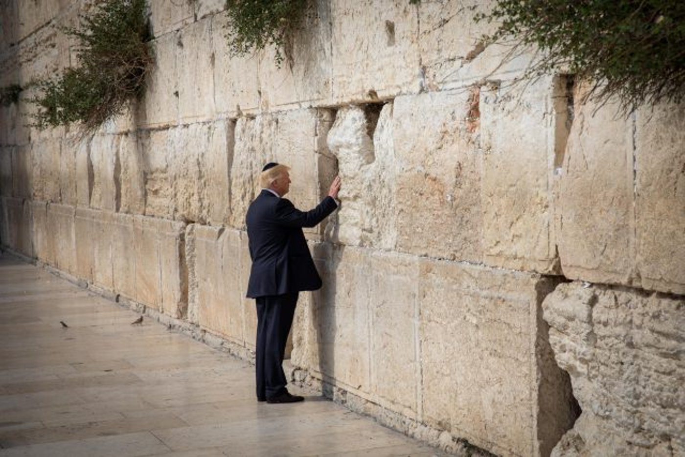 דונלד טראמפ, נשיא ארה"ב
