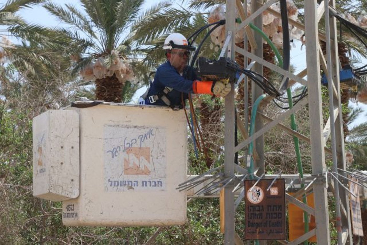הגיע ל-50 מעלות: חום מטורף באזור המדבר