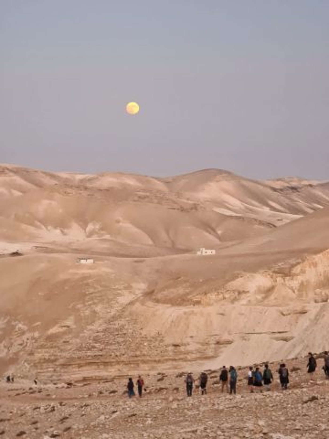 קול קורא לנדוד: מסע אהבה למדבר