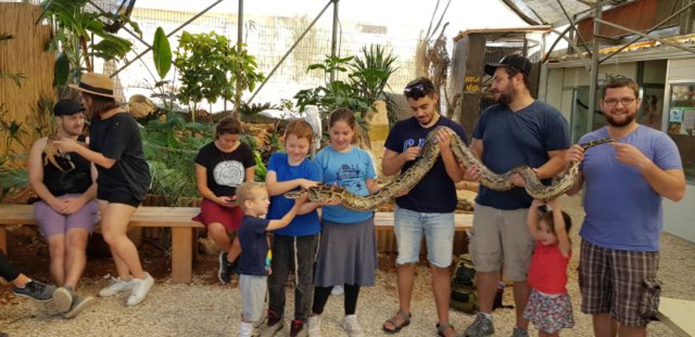 פעילות פסח תשפ"ג בגוש עציון | כל מה שטוב, קרוב!