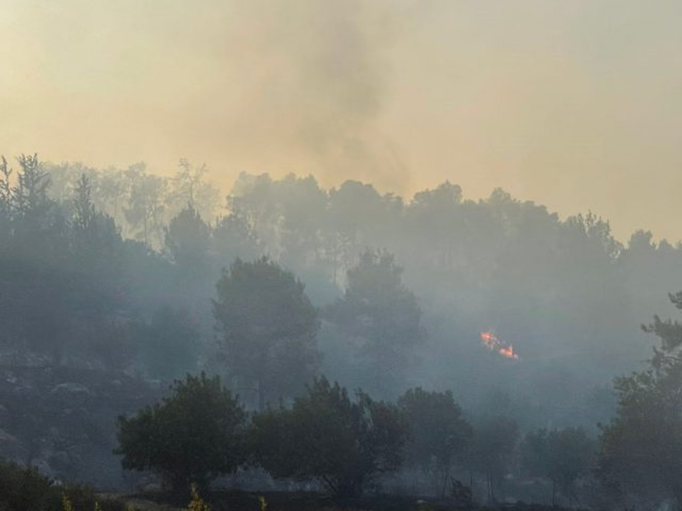 הושגה שליטה על האש: מאמצי הכיבוי יימשכו הלילה