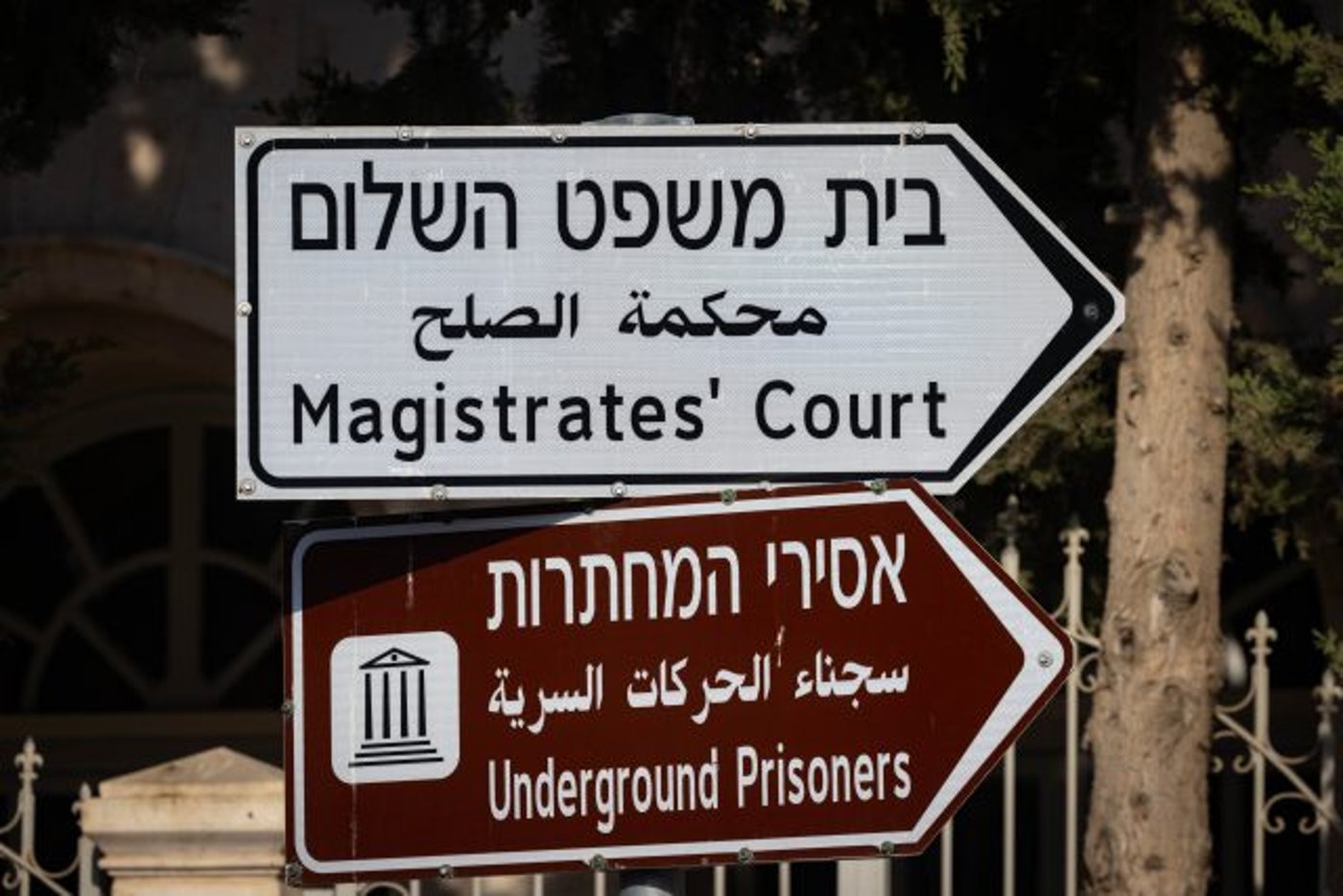 כתב אישום: רופאים הביאו לארץ ביציות מופרות עם מחלות גנטיות