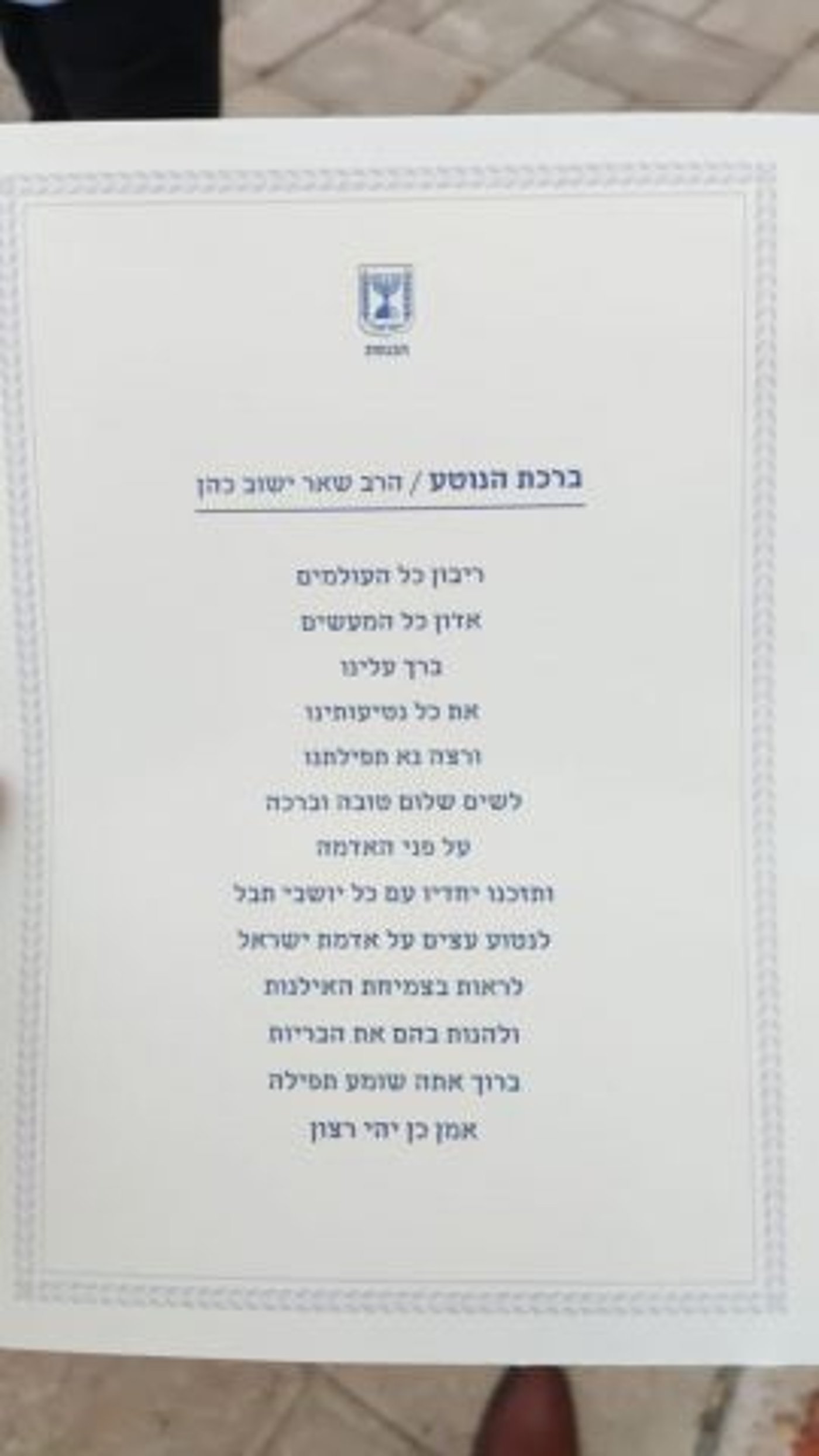 עם "ברכת הנוטע": מנכ"ל הכנסת נטע עץ נדיר | צפו
