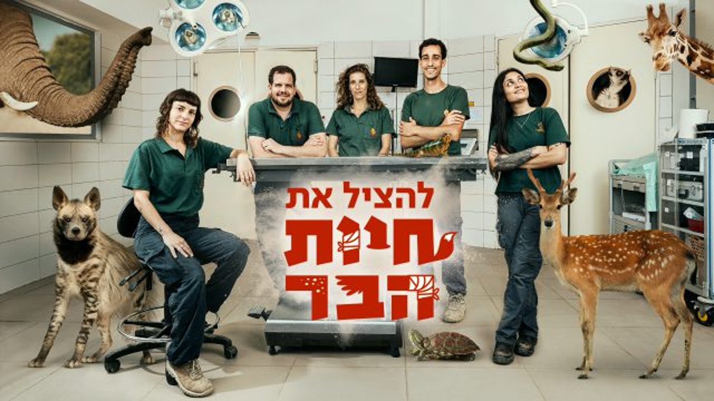 (באדיבות כאן 11)