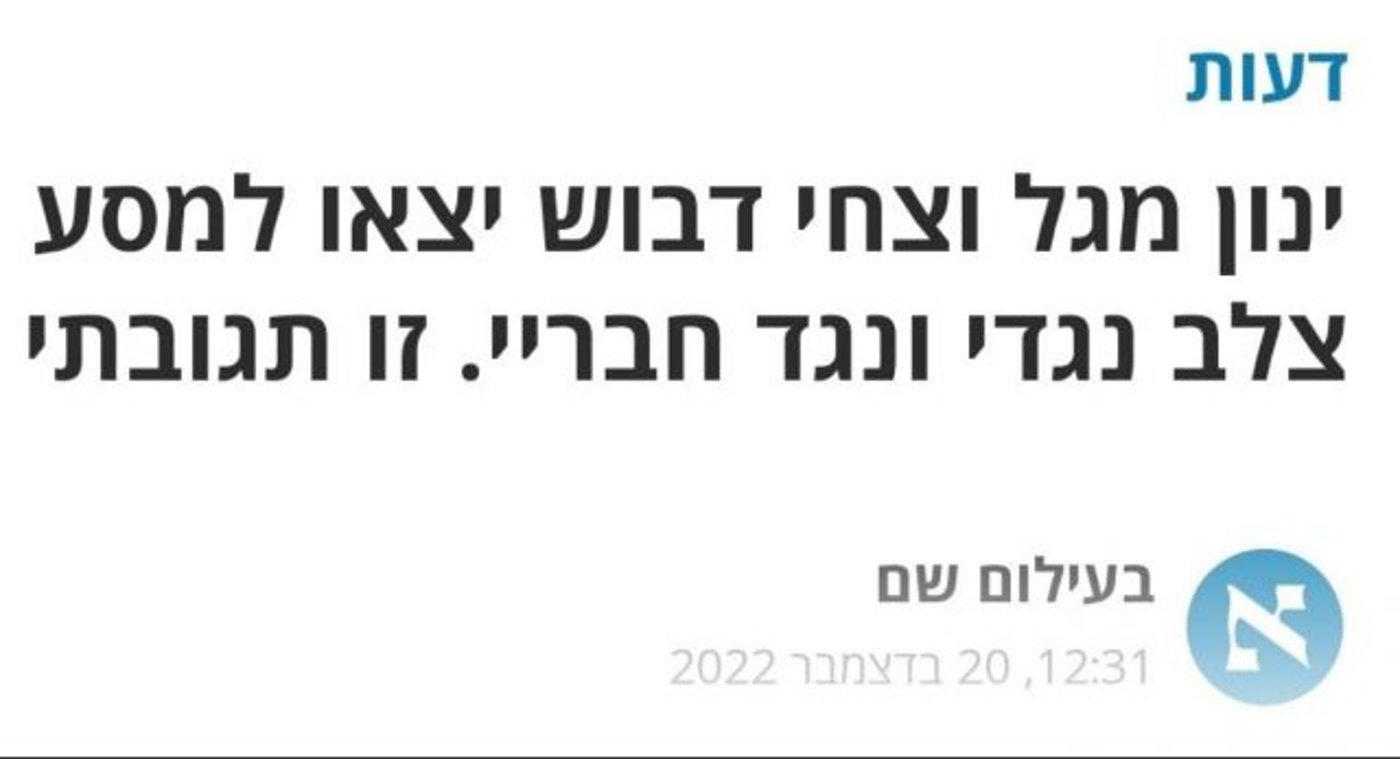 הטור הפוליטי שפרסם חייל בדו"צ