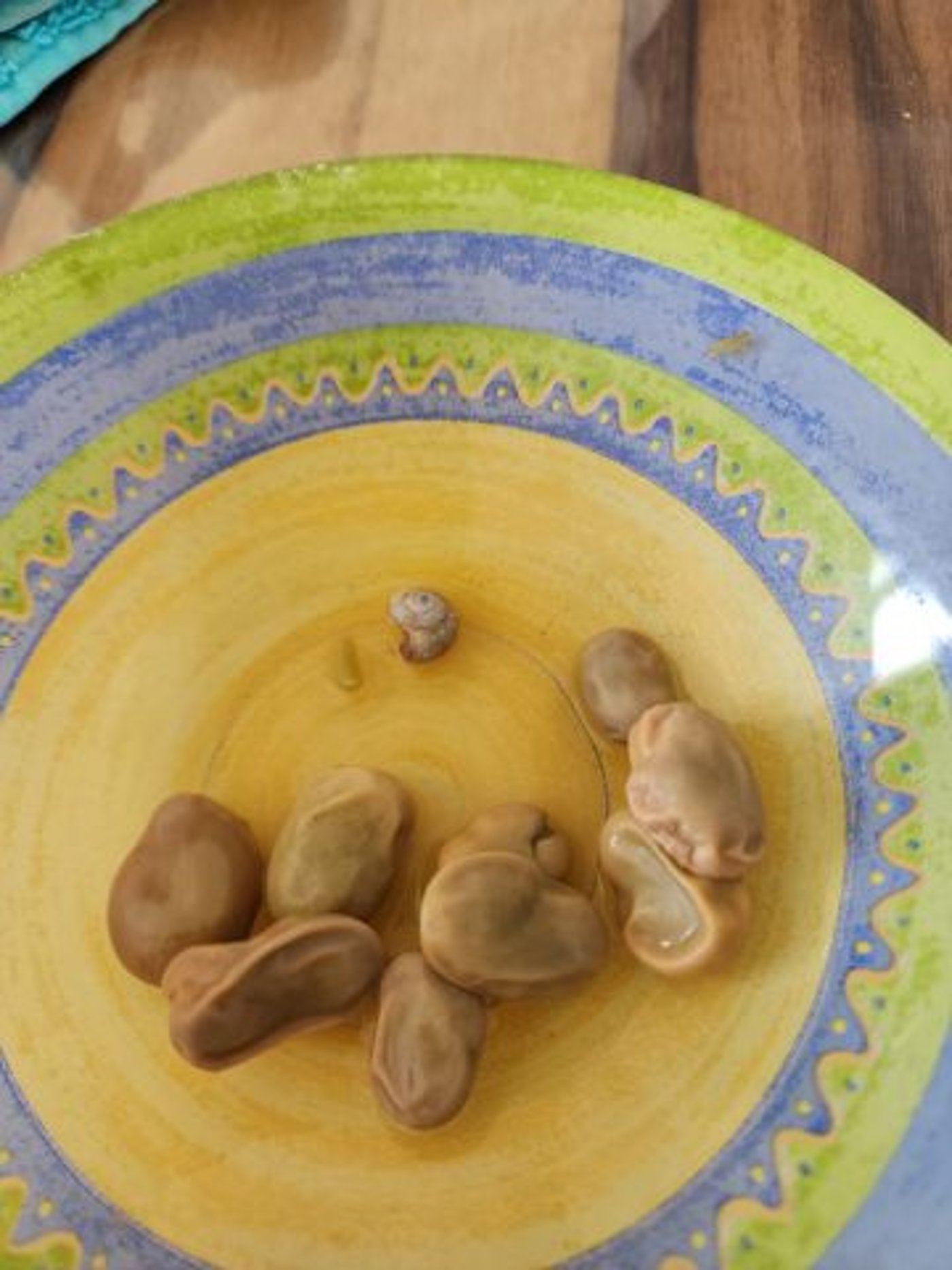איכס: מצאה שבלול מת בשקית פולים קפואה