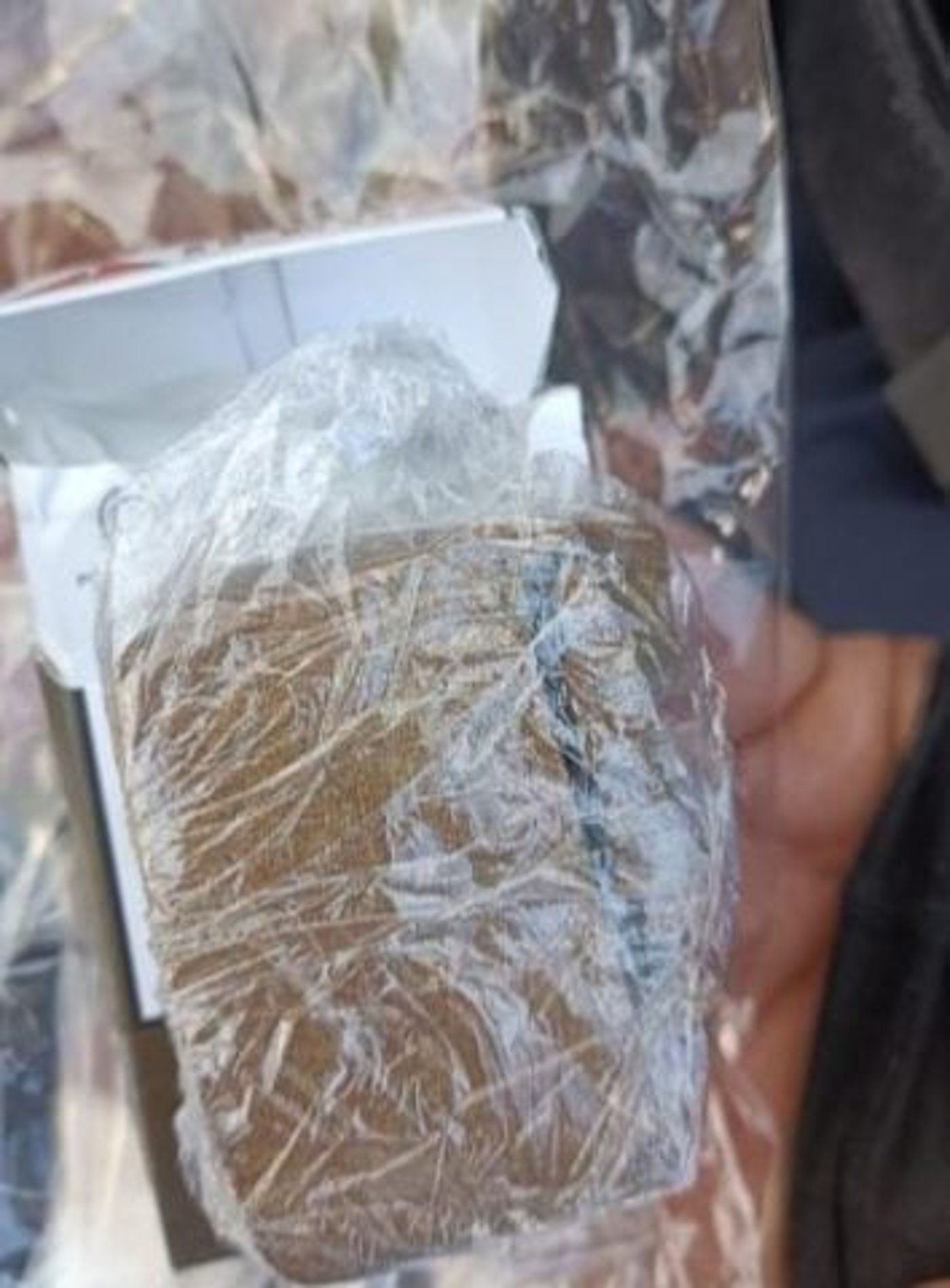 בעקבות ההטרדות: מבצע משילות בתחב"צ בשומרון