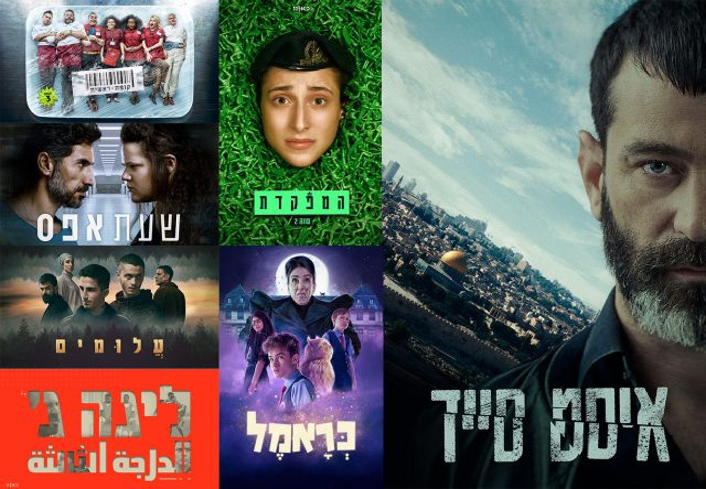 בינג' ישראלי: קופה ראשית והמפקדת מגיעות לנטפליקס