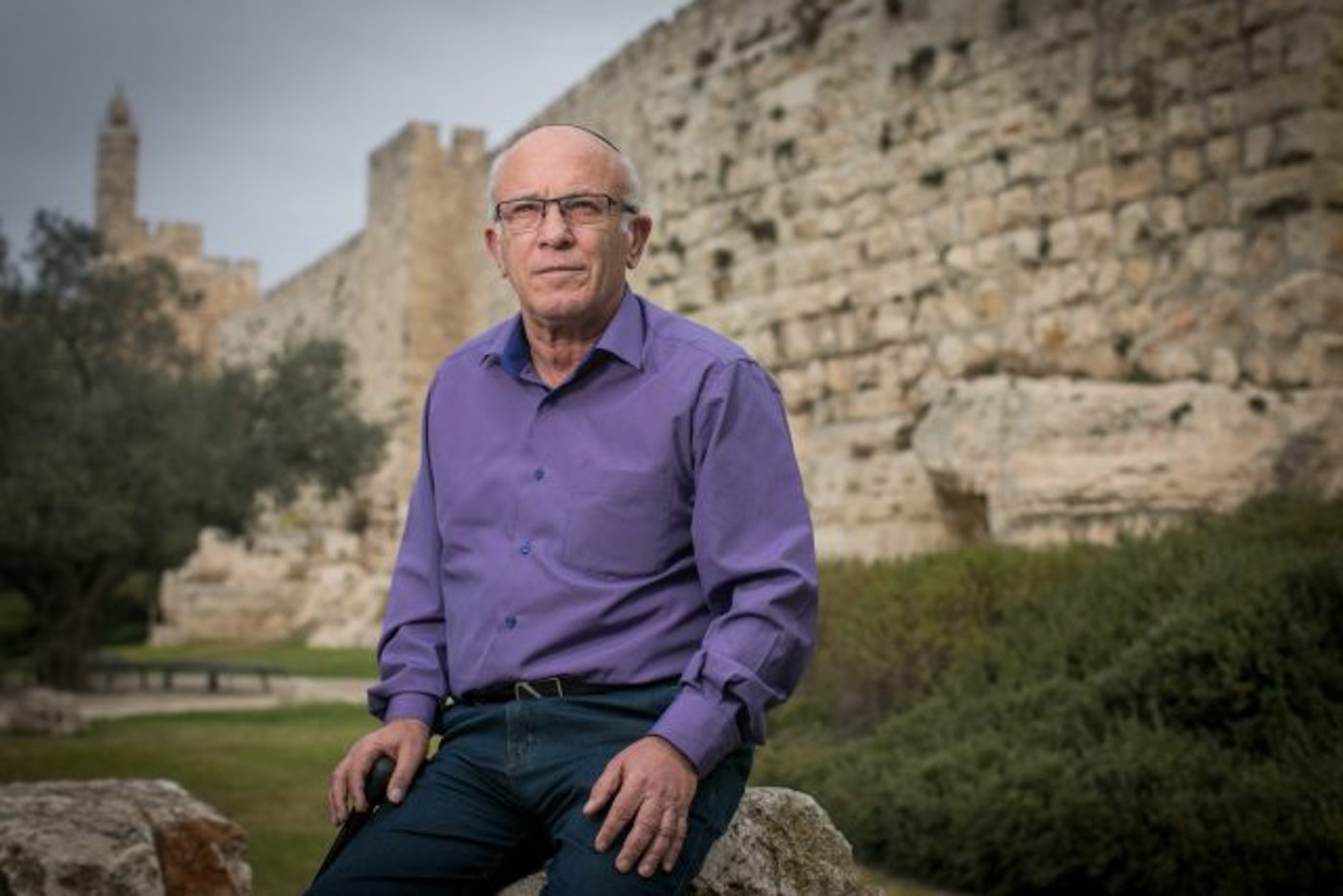 פנחס ולרשטיין