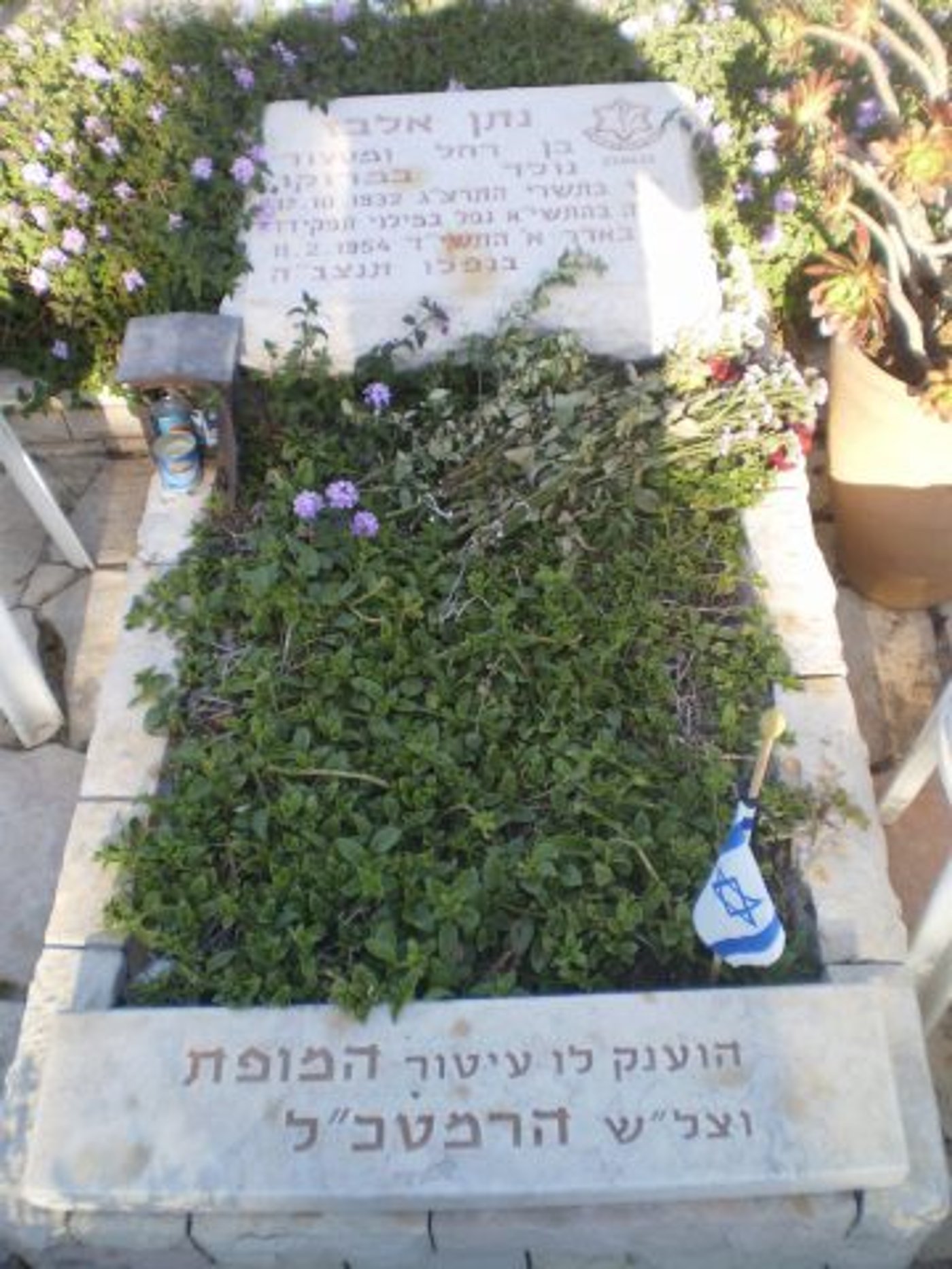 קברו של נתן אלבז (דוד שי, ויקימדיה)