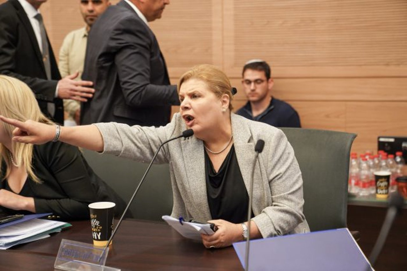 אורנה ברביבאי בוועדת החוקה (דני שם טוב, דוברות הכנסת)