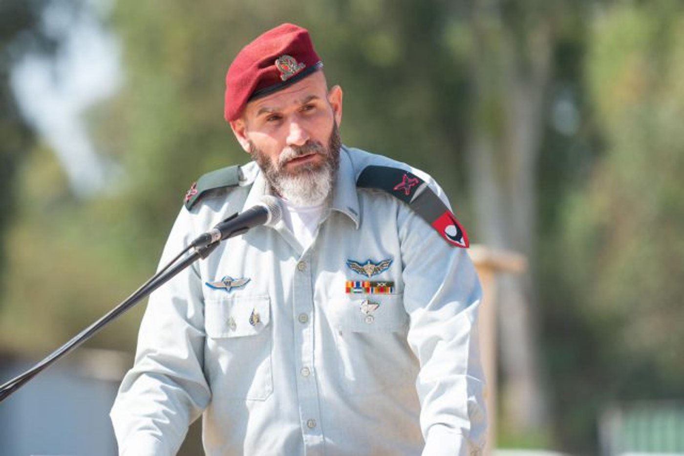 תא"ל דן גולדפוס (דובר צה"ל)